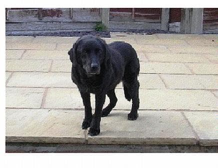 Beautiful Bess — Unknown