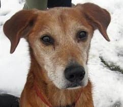 A letter from Captain Sam — Unknown