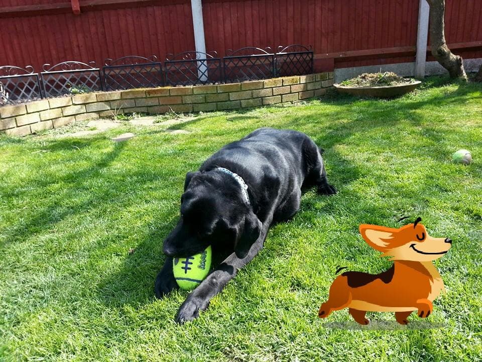 Handsome Henry — Unknown