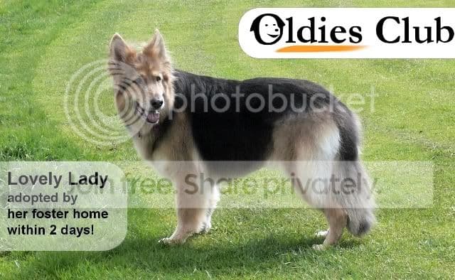 Calendars and Christmas cards available now! — Unknown