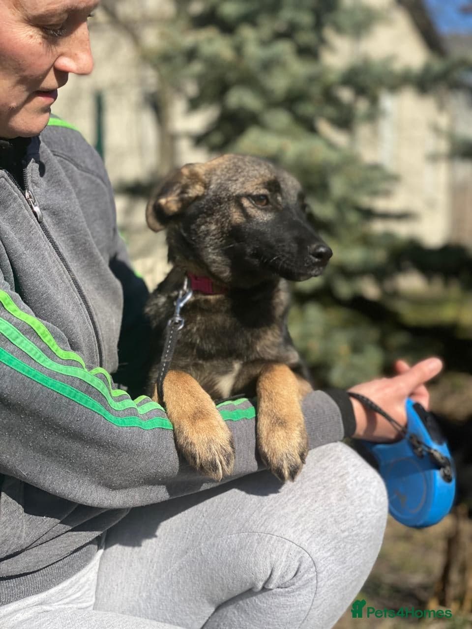 οΈπΆ kuba photo 6