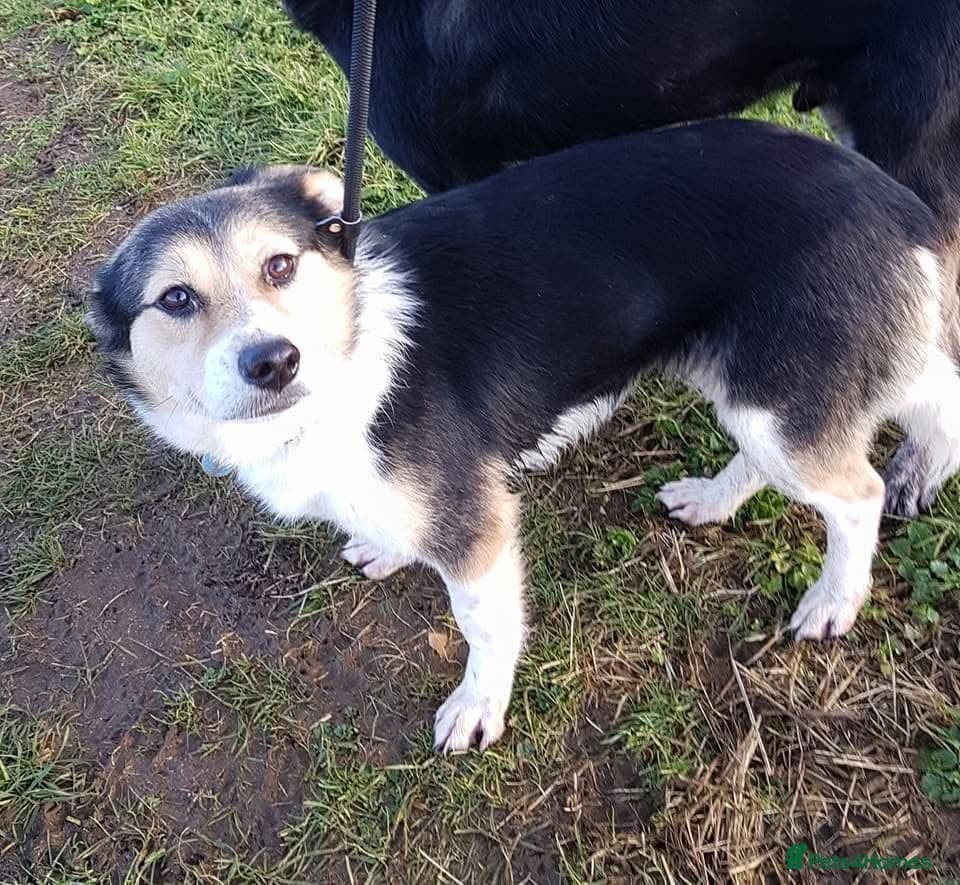 Tara - Norwich Norfolk photo 6