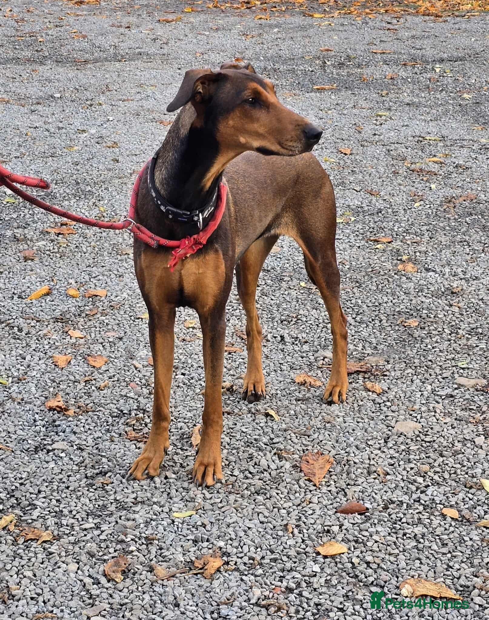 BONNIE π Playful, Loving Girl photo 17