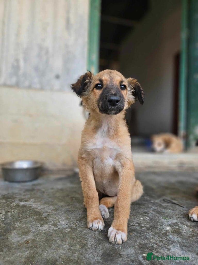 Coffee & robyn photo 10