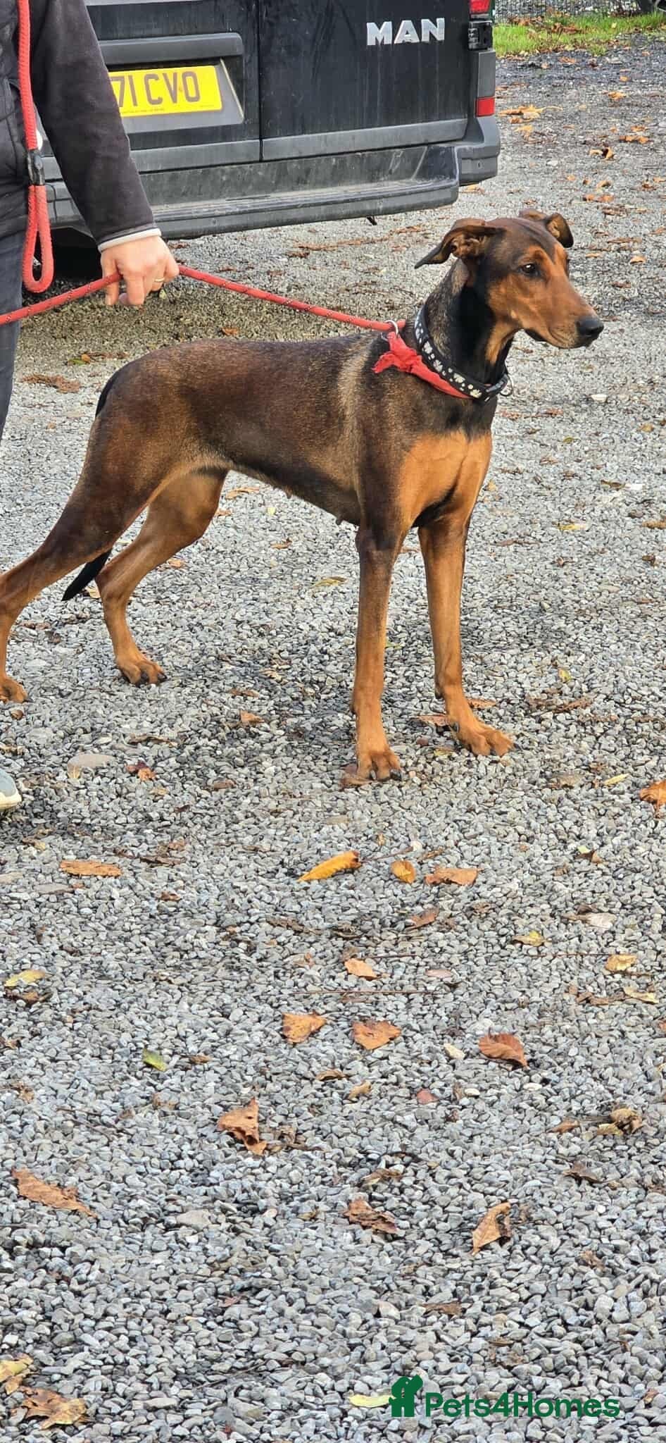 BONNIE π Playful, Loving Girl photo 15