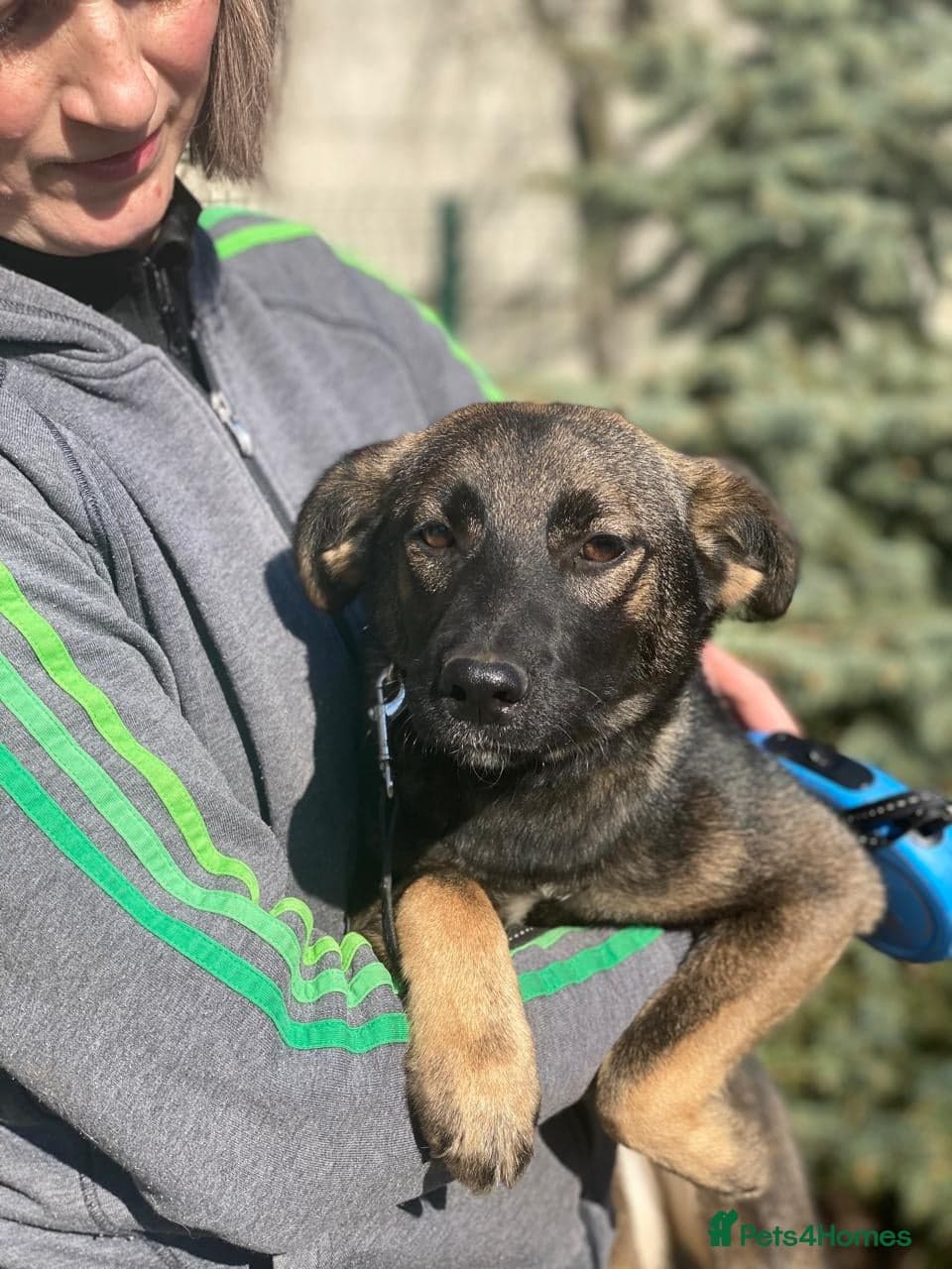 οΈπΆ kuba photo 4