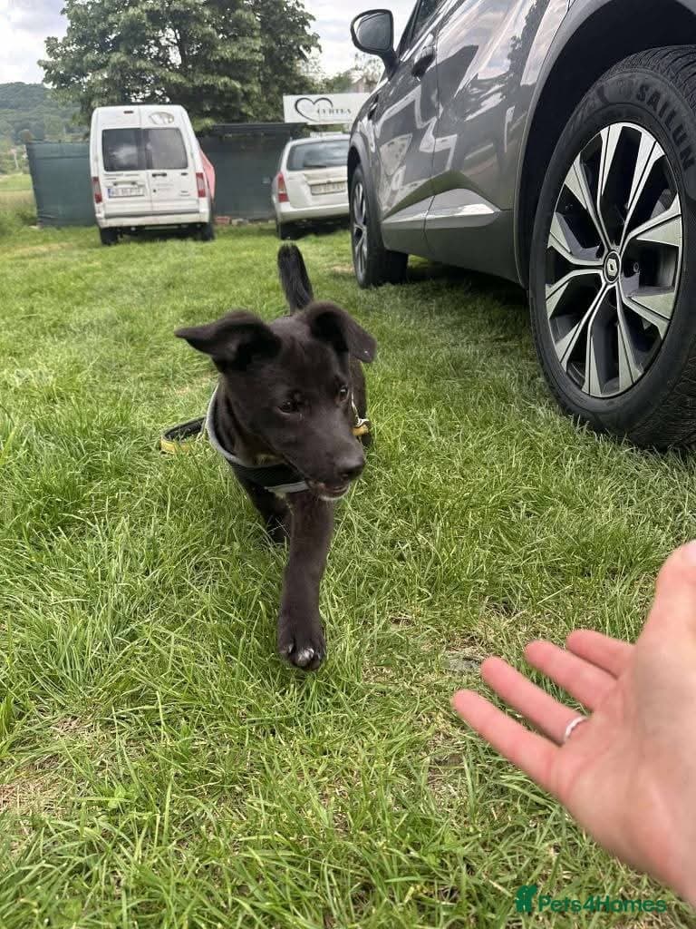 Meet Raegan, currently residing in Surrey photo 6