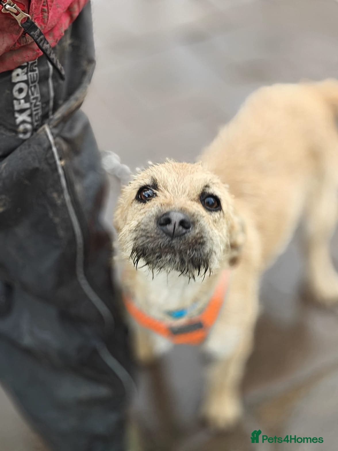 οΈπΆ bekki photo 3