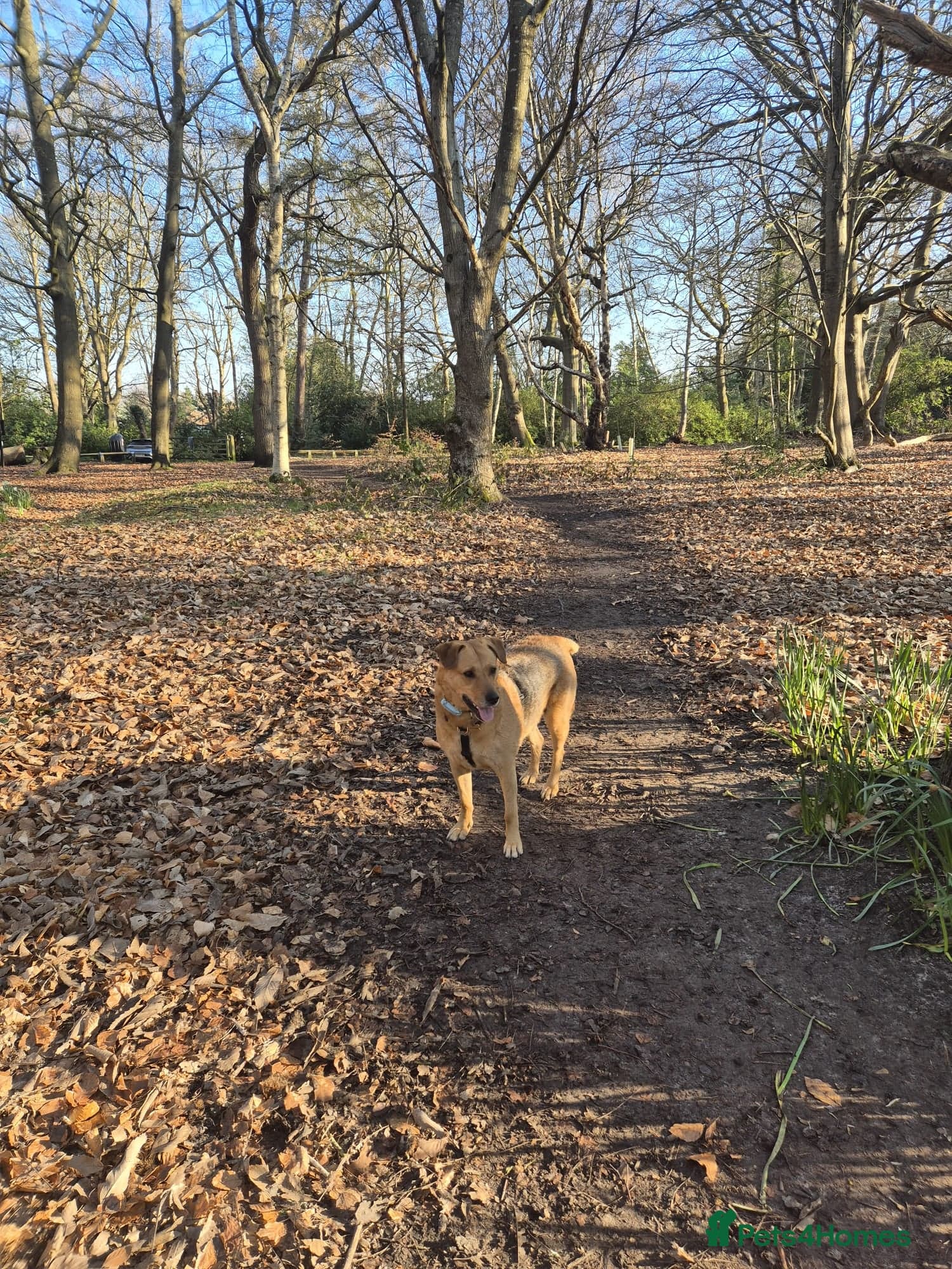 Sweet trinity photo 3