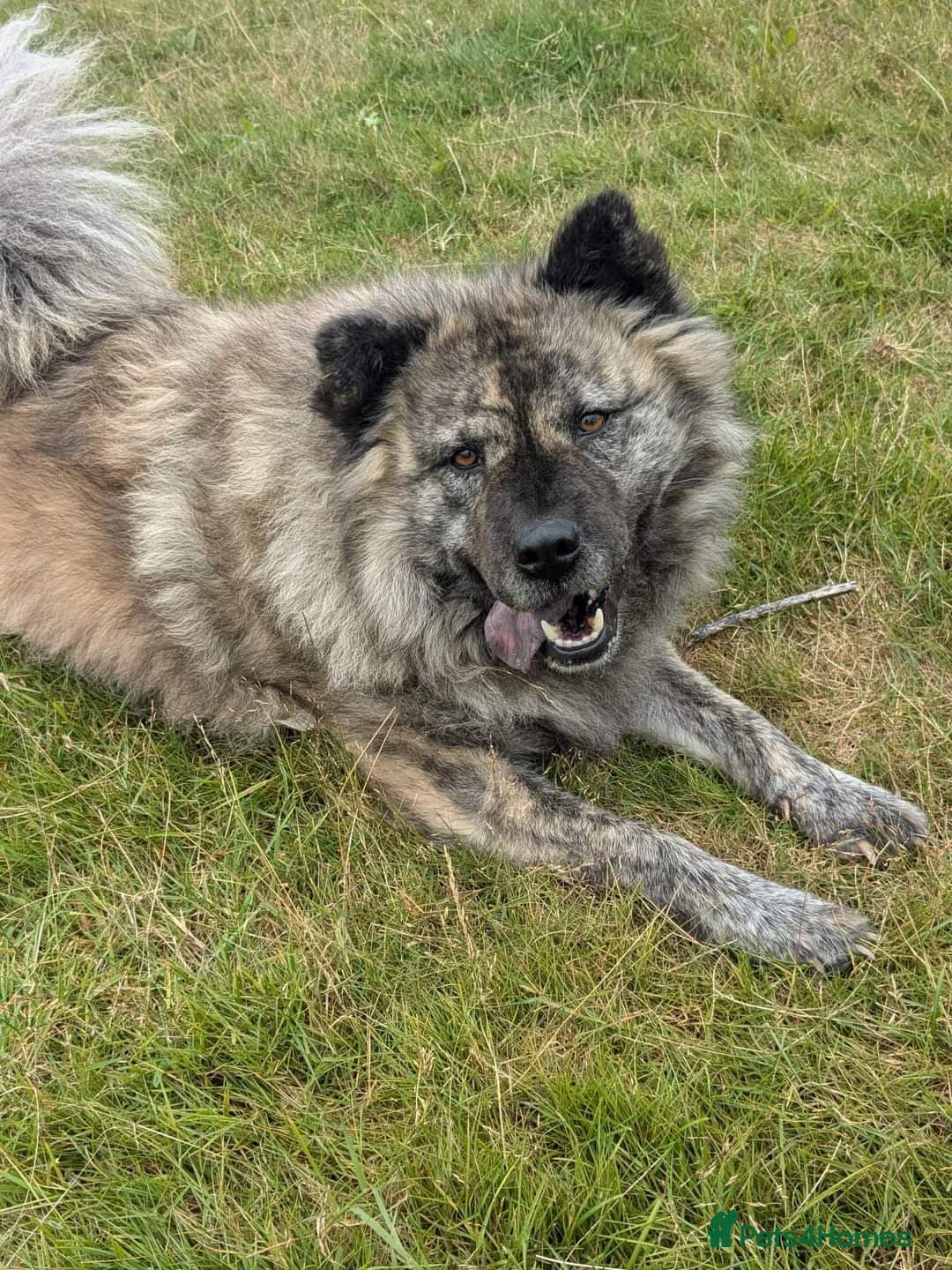 Luna Chow π photo 4