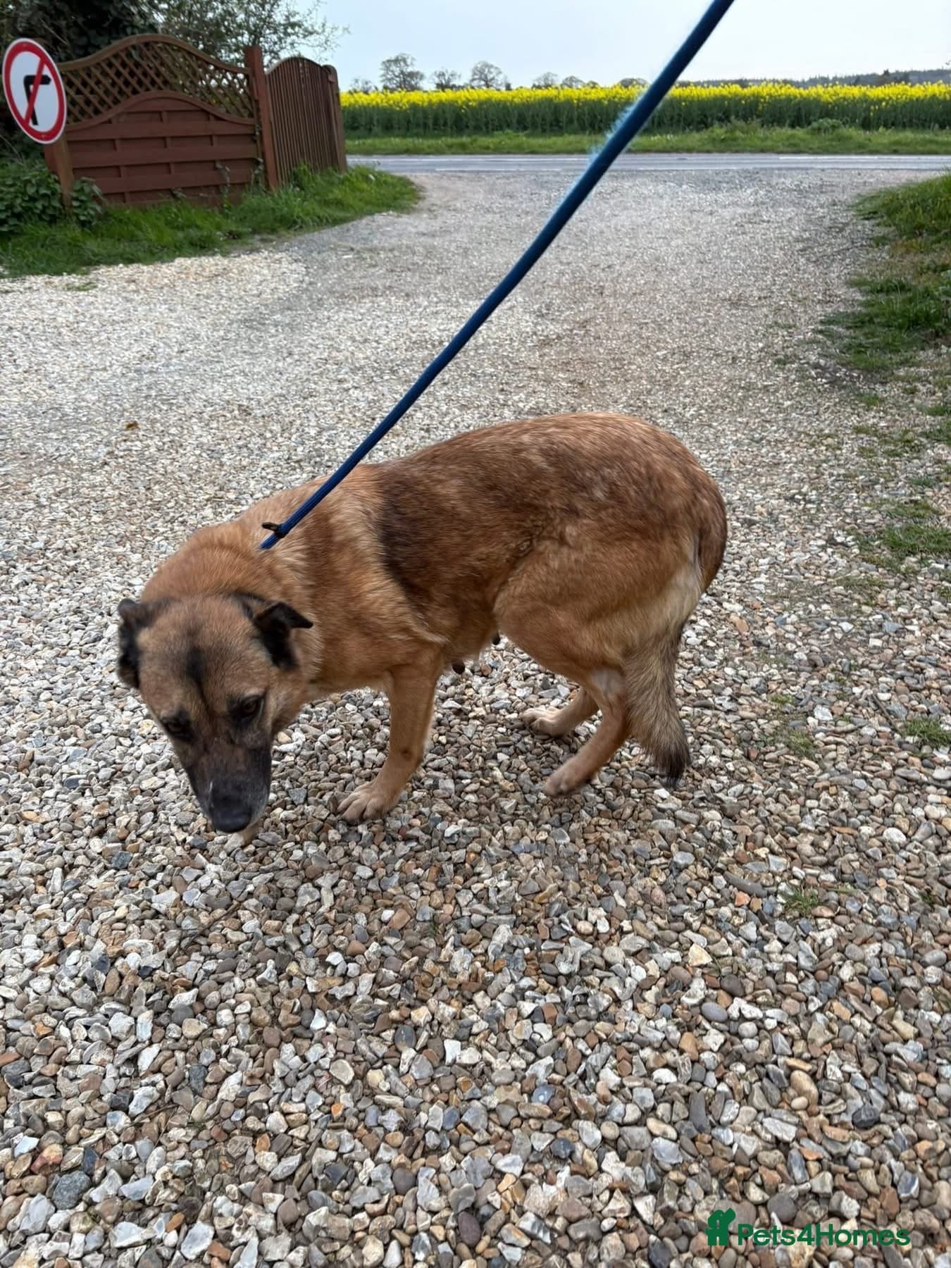 Thelma - Norwich Norfolk photo 7