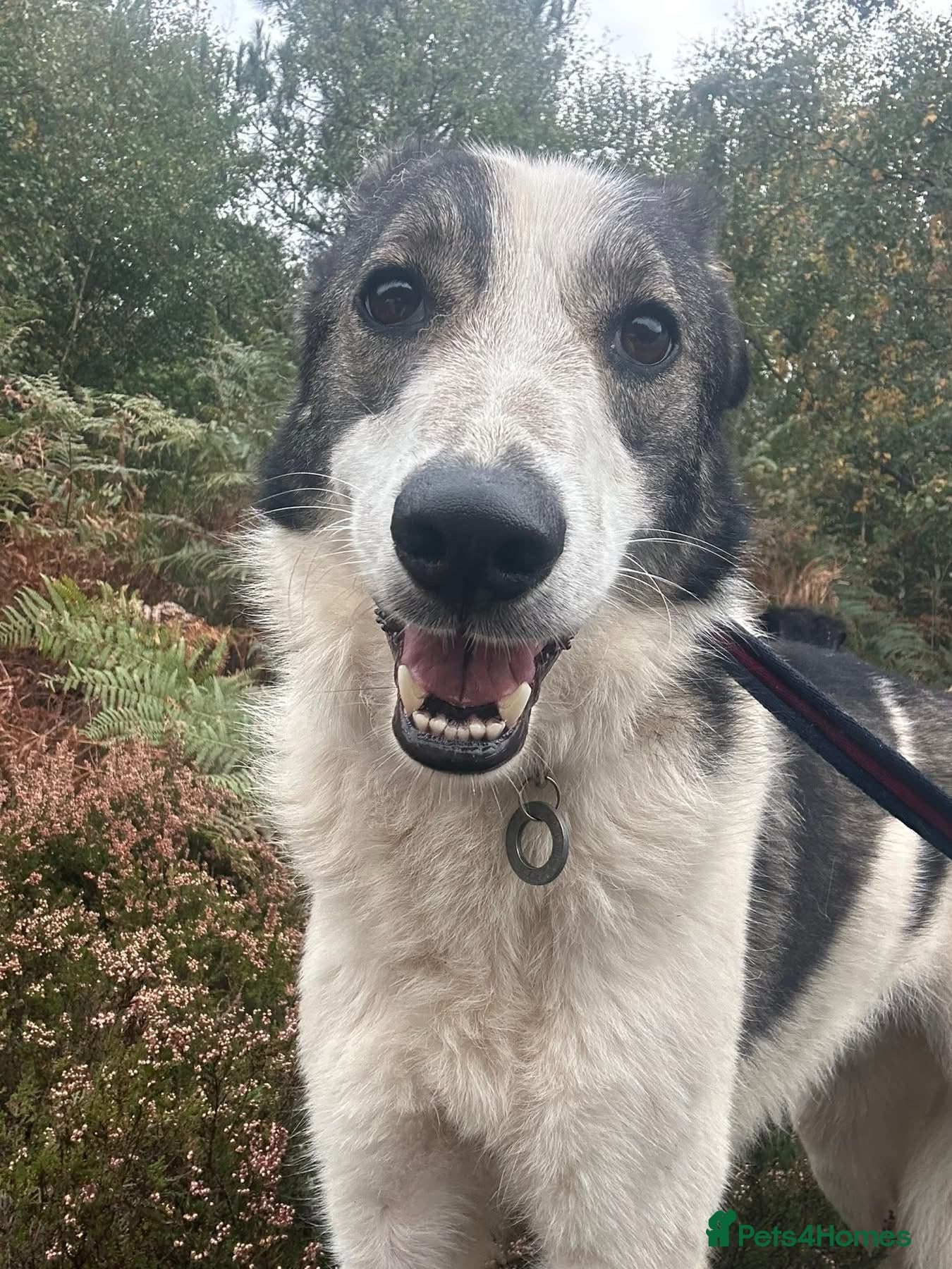 Matteo - Norwich Norfolk photo 10