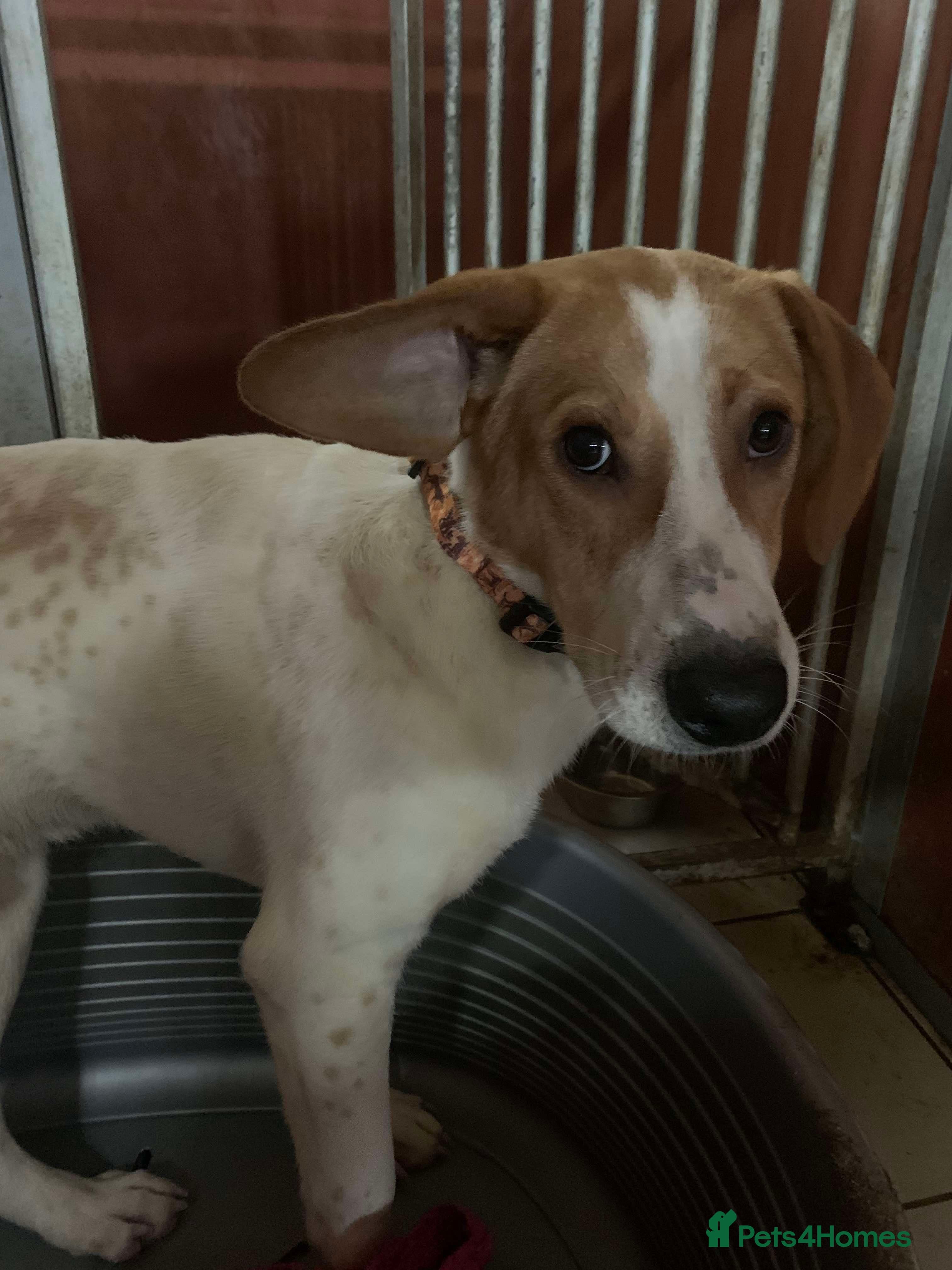 Meet Jordan, currently residing in Cheshire photo 8