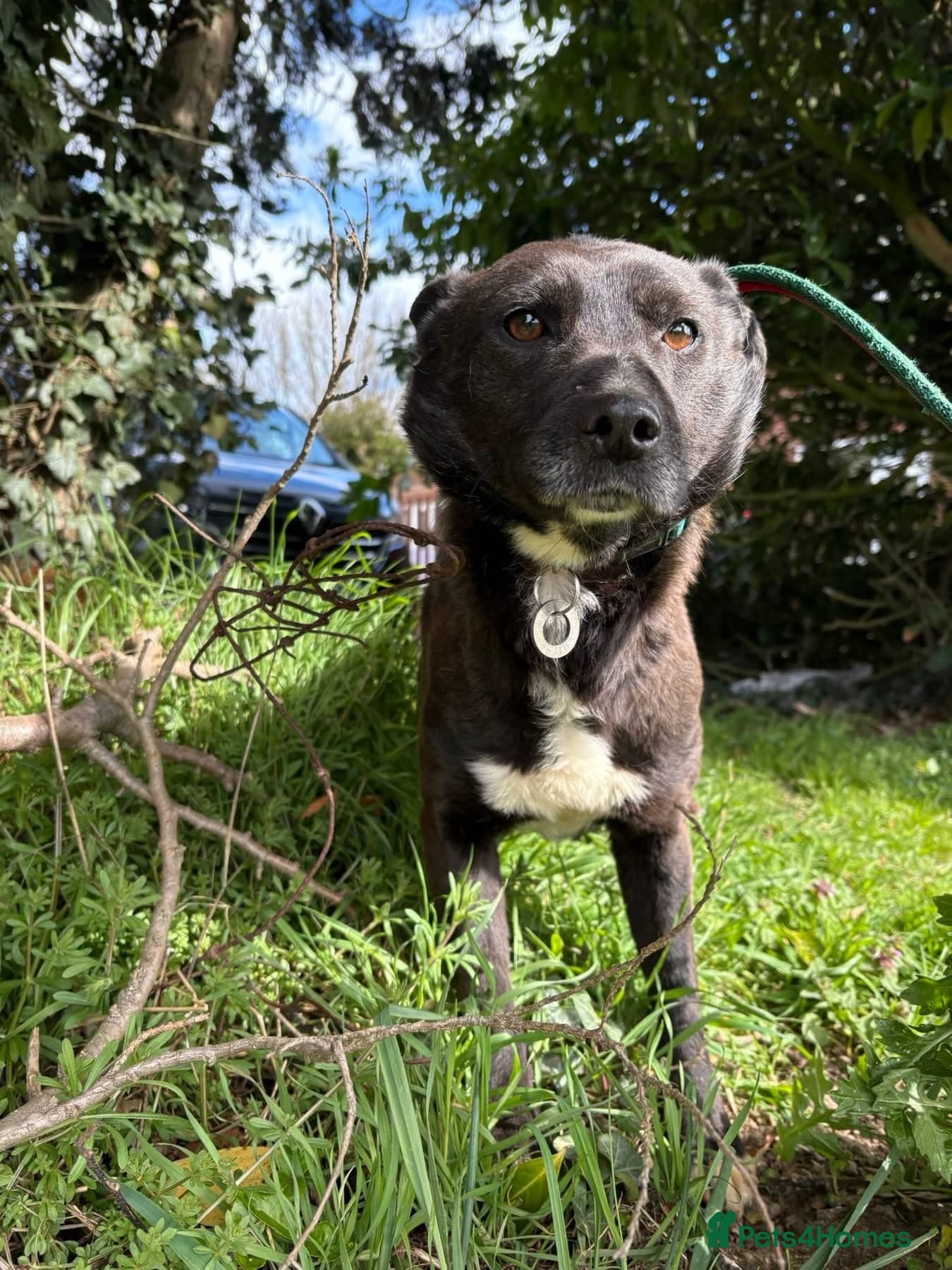 Penfold - Norwich Norfolk photo 4