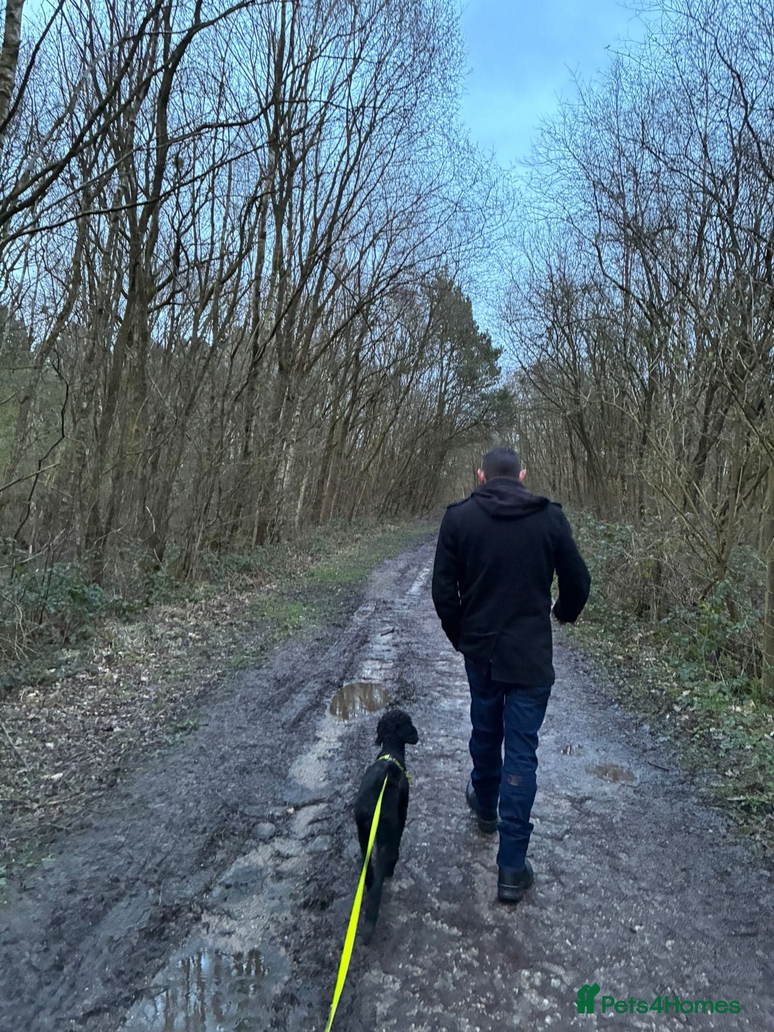 οΈπΆ charlie photo 13