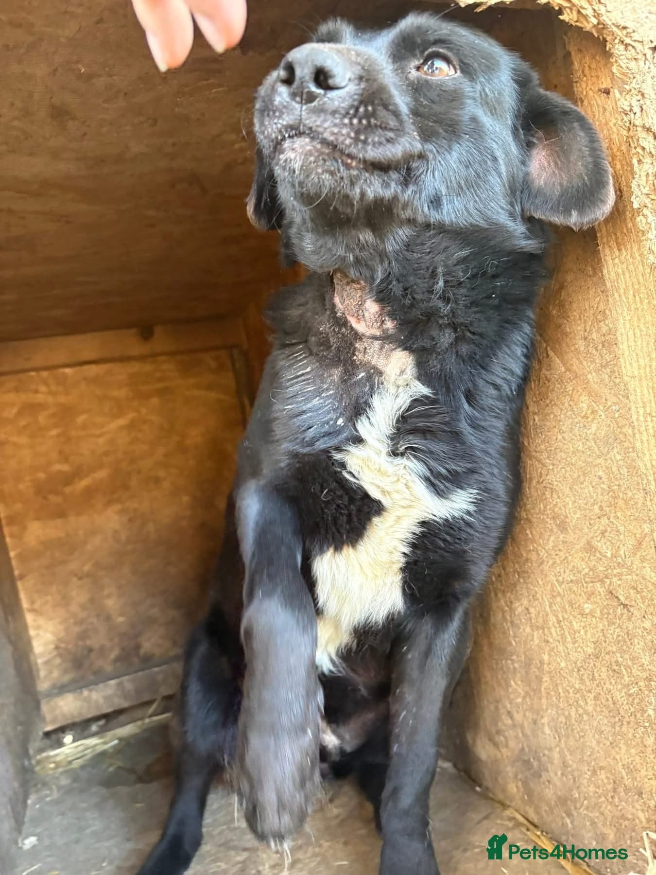 Callum - Norwich Norfolk photo 12