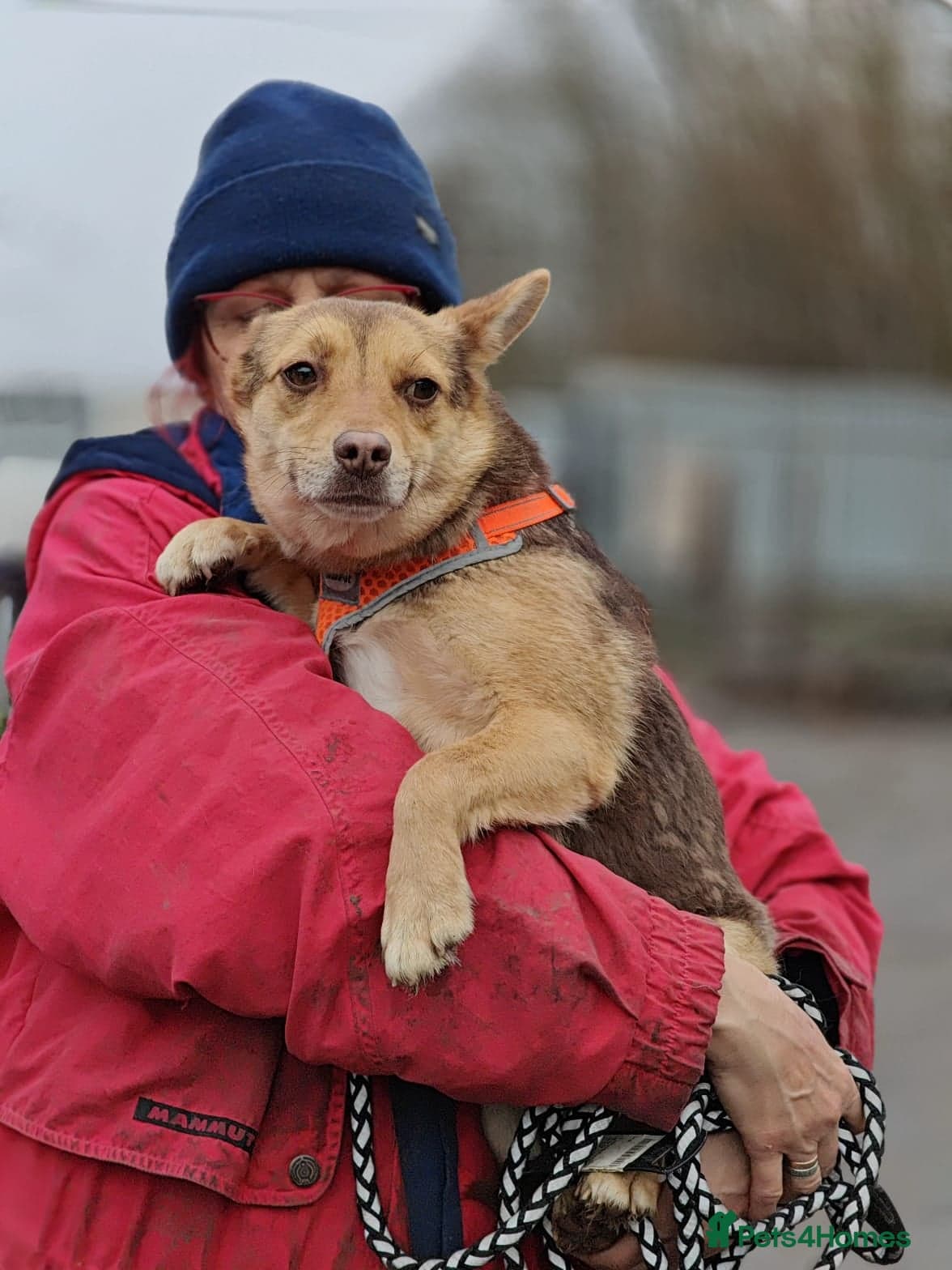 ๏ธ๐ถ rudya photo 5