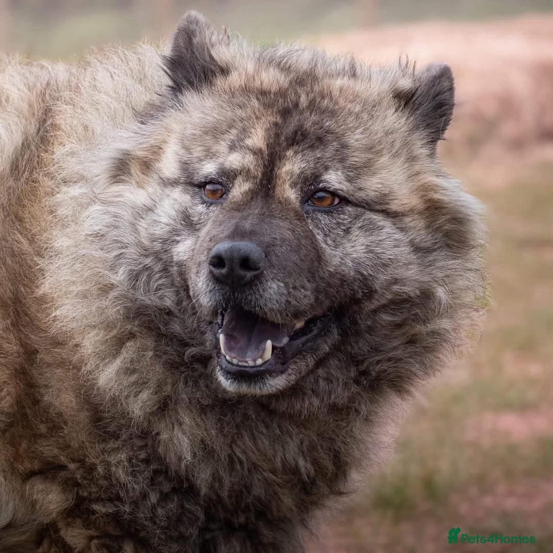 Luna Chow π photo 11