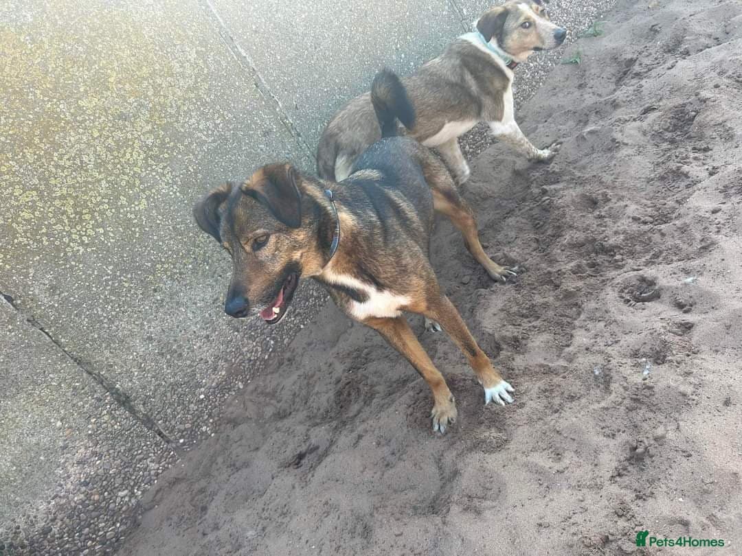 Meet Jake, currently residing in Cheshire photo 24