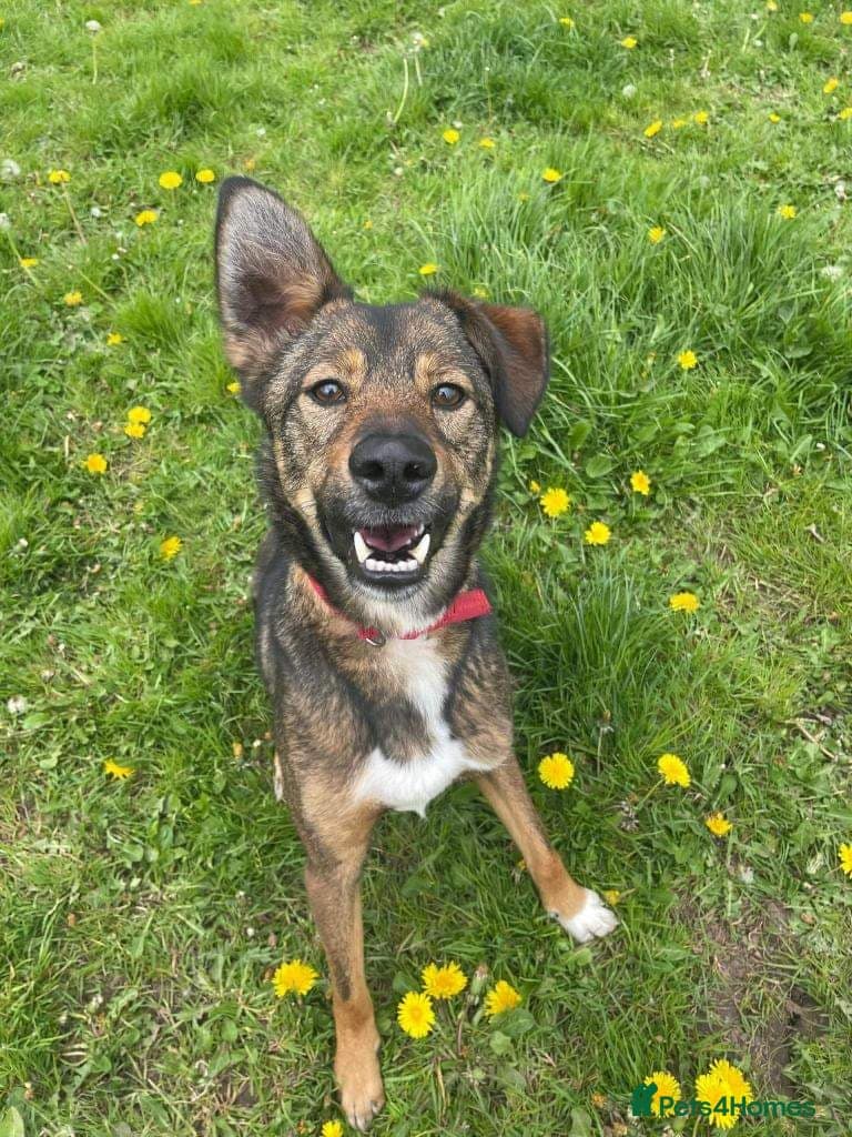 Meet Jake, currently residing in Cheshire photo 10