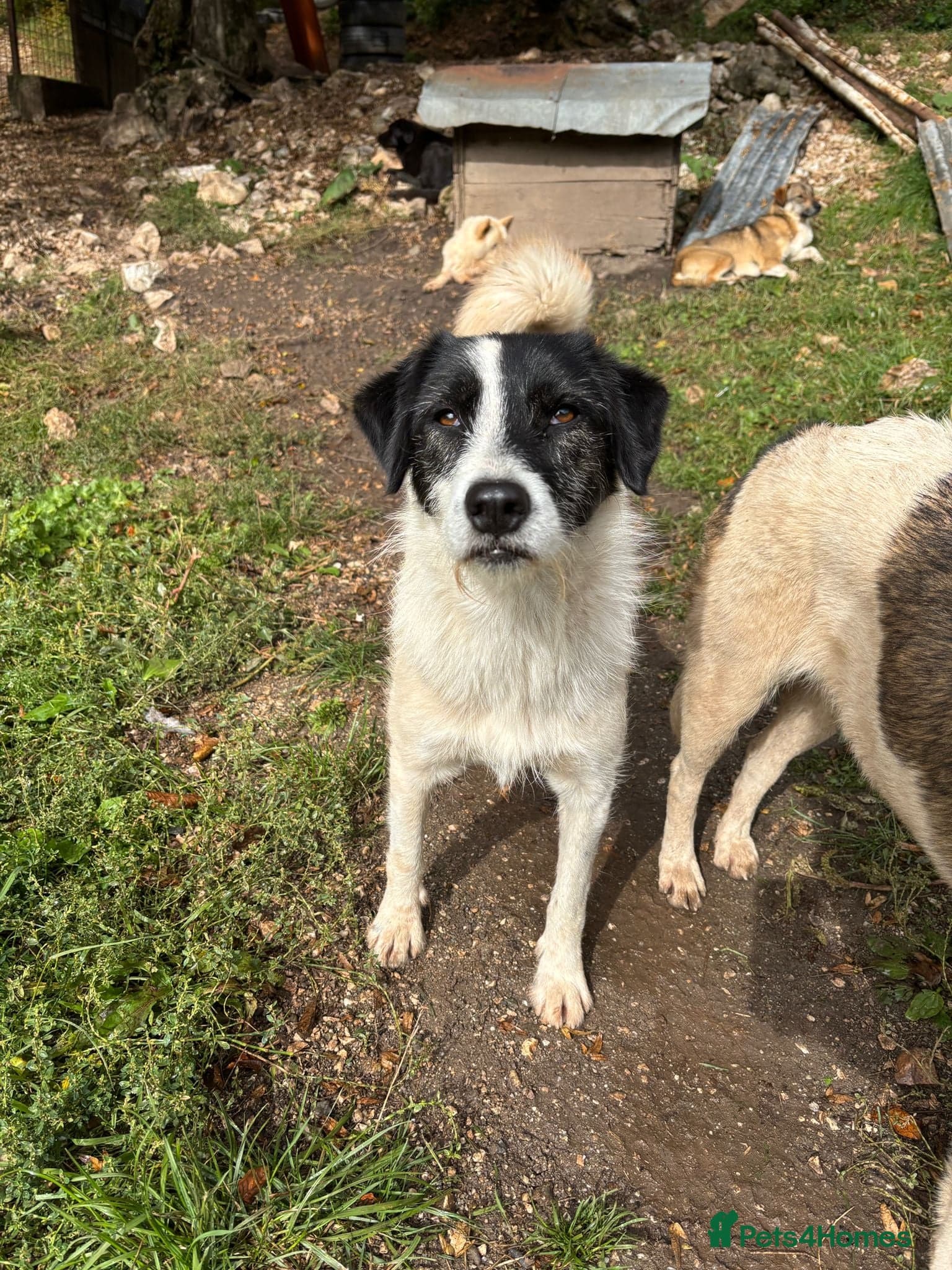 Poppy ❤️ photo 4