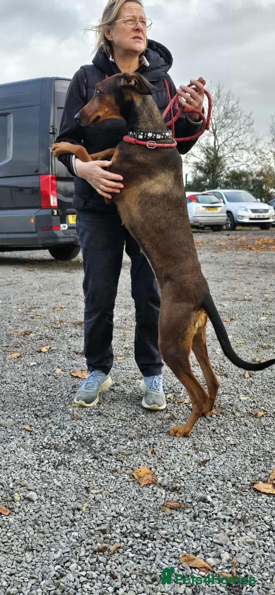 BONNIE π Playful, Loving Girl photo 19