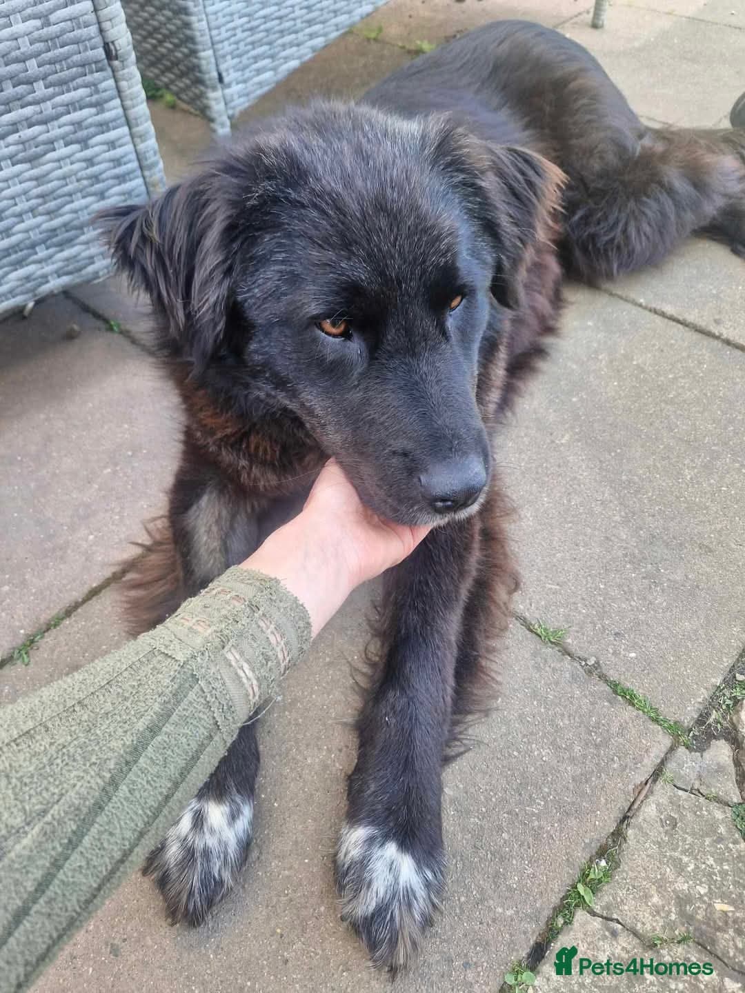 Meet Bryony, currently residing in Kent photo 4