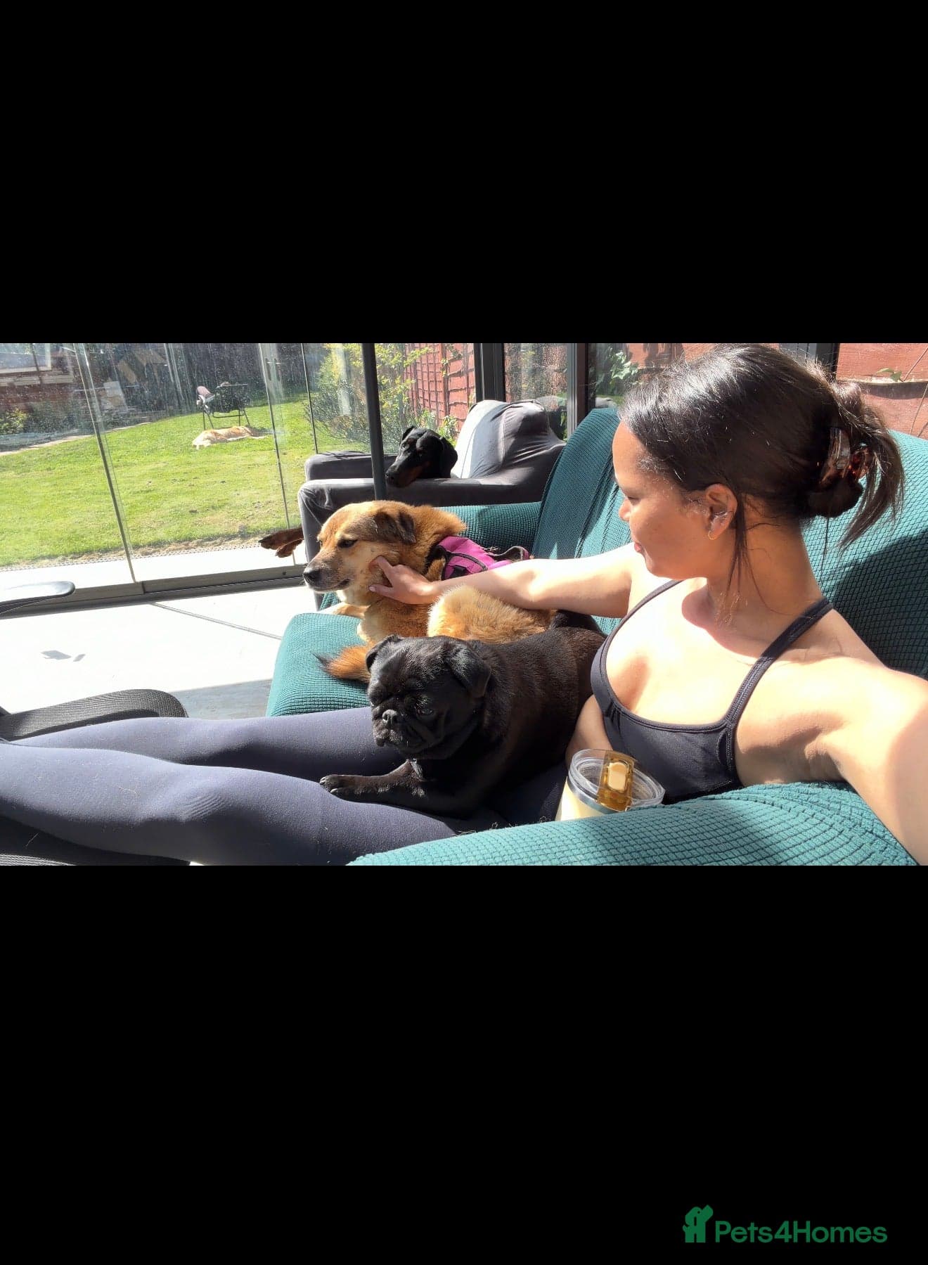 Sweet Muffin photo 5