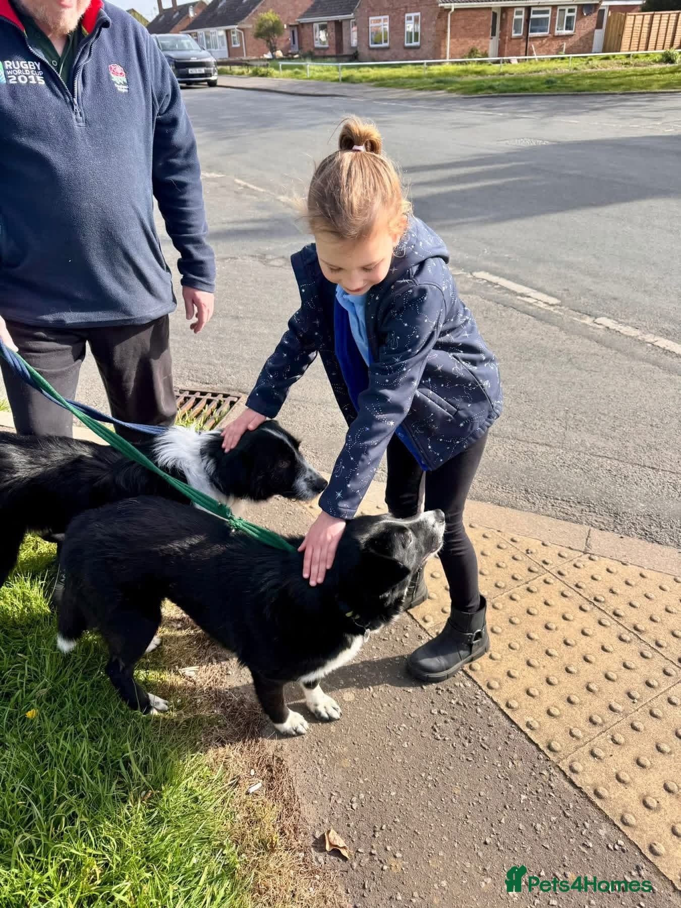 Tommy - long stratton Norfolk β Mixed Breed