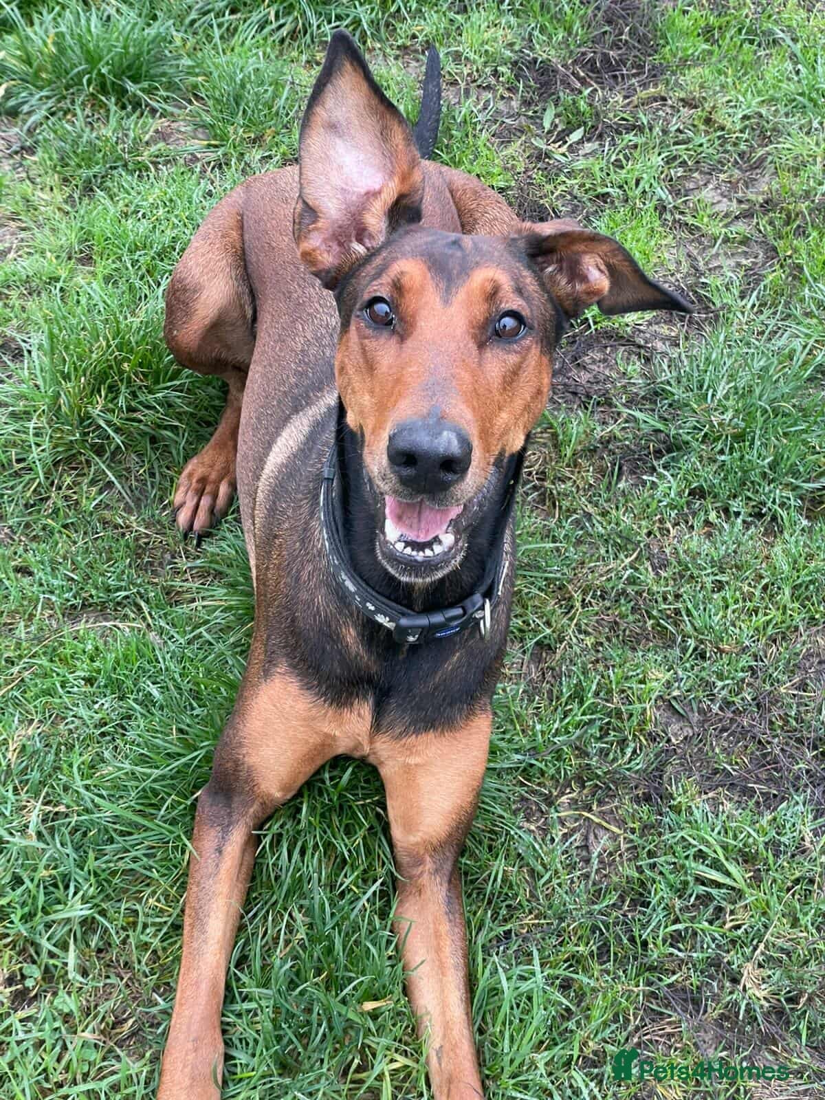 BONNIE π Playful, Loving Girl photo 3