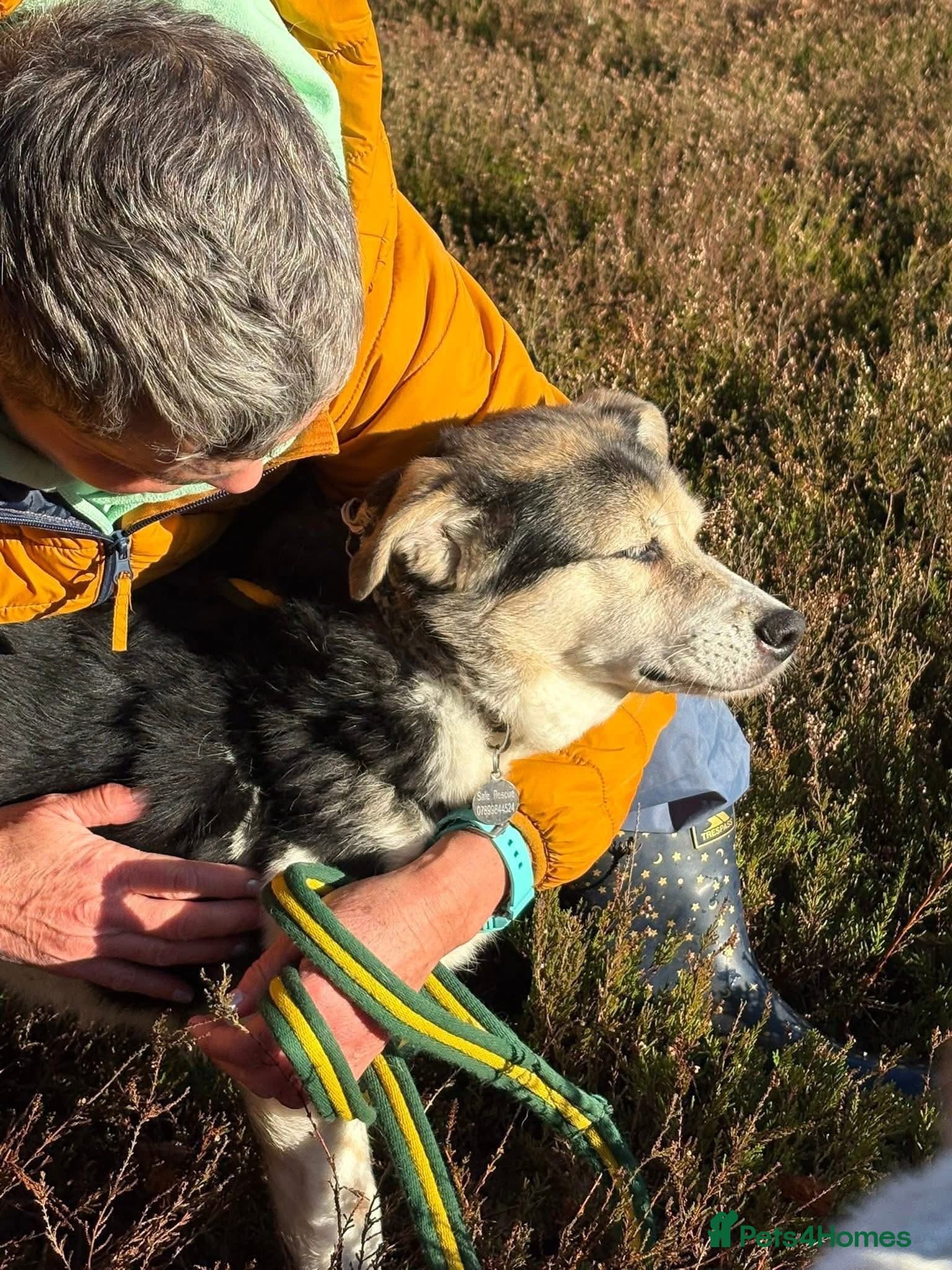 Tara - Norwich Norfolk photo 3