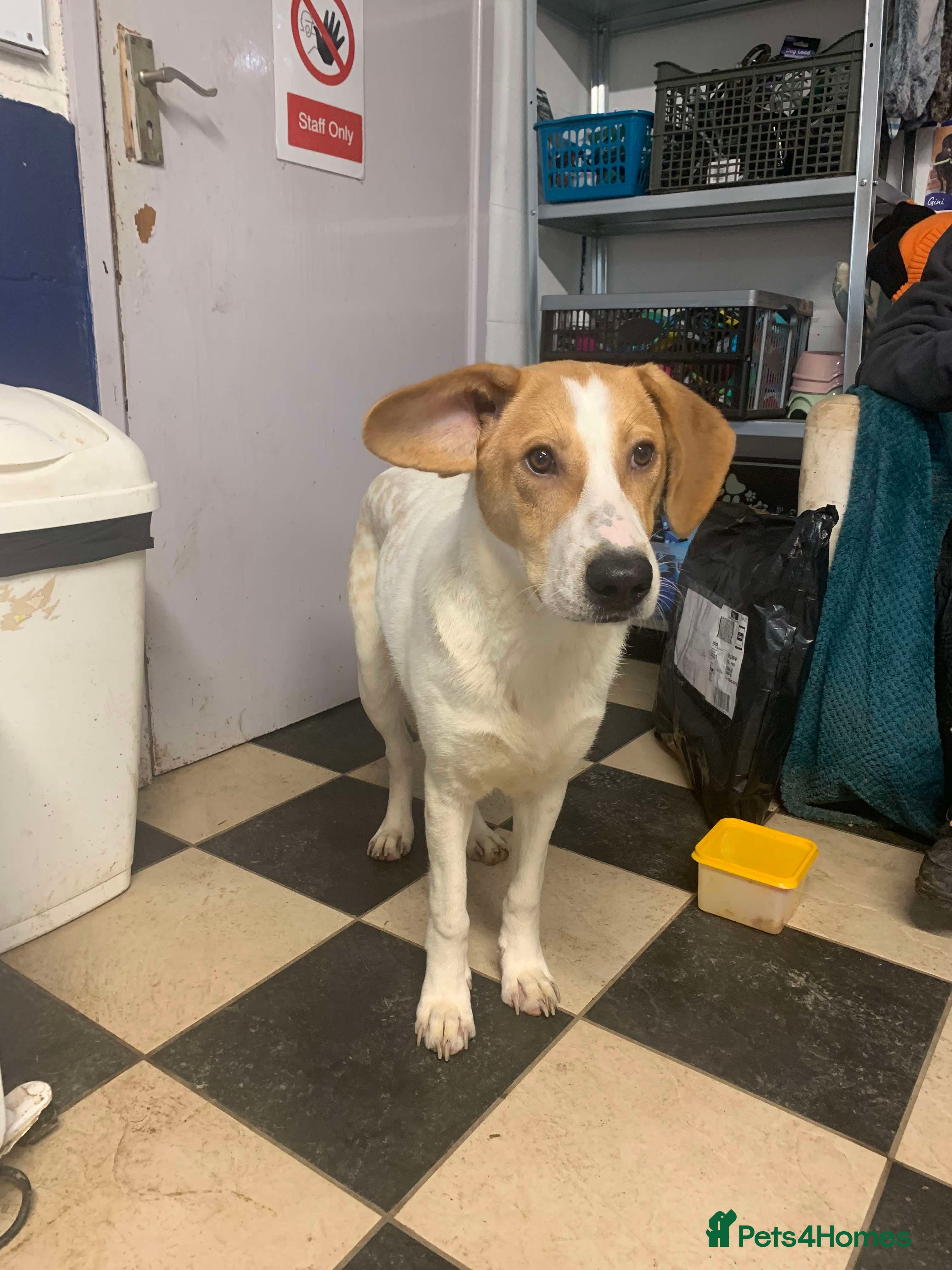 Meet Jordan, currently residing in Cheshire photo 5