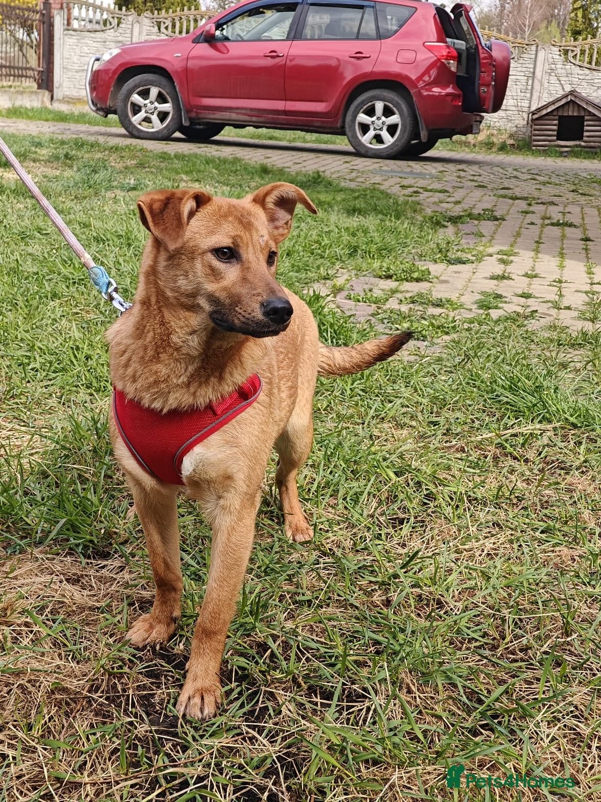 ๏ธ๐ถ yara photo 16