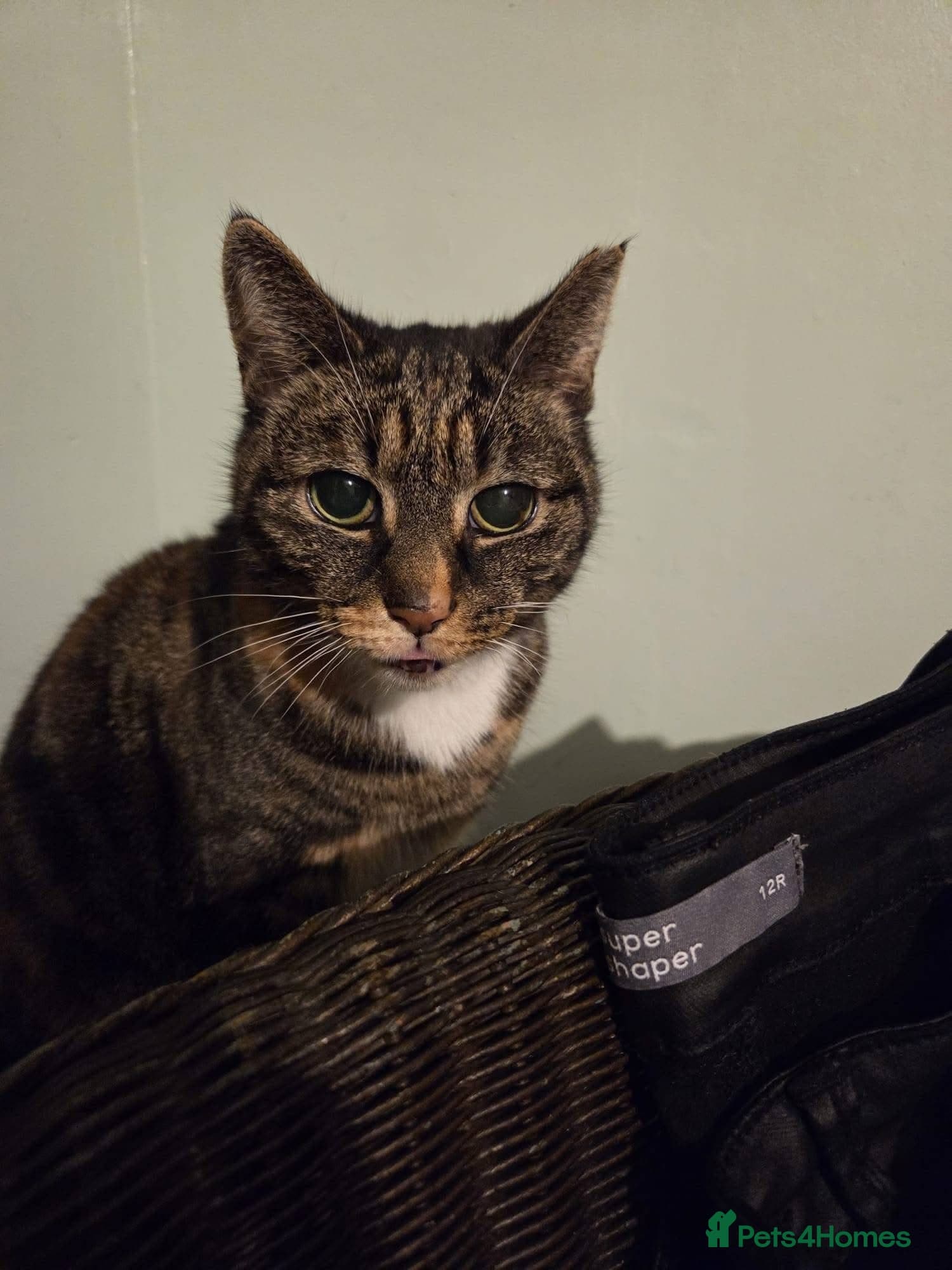 οΈπ± cleo photo 5