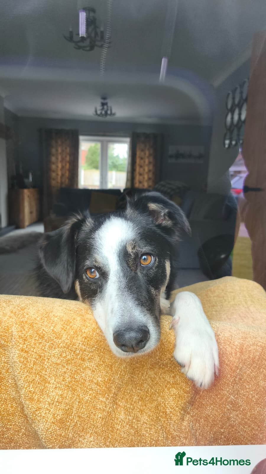 MAXπ Let Down But Still Loving photo 18