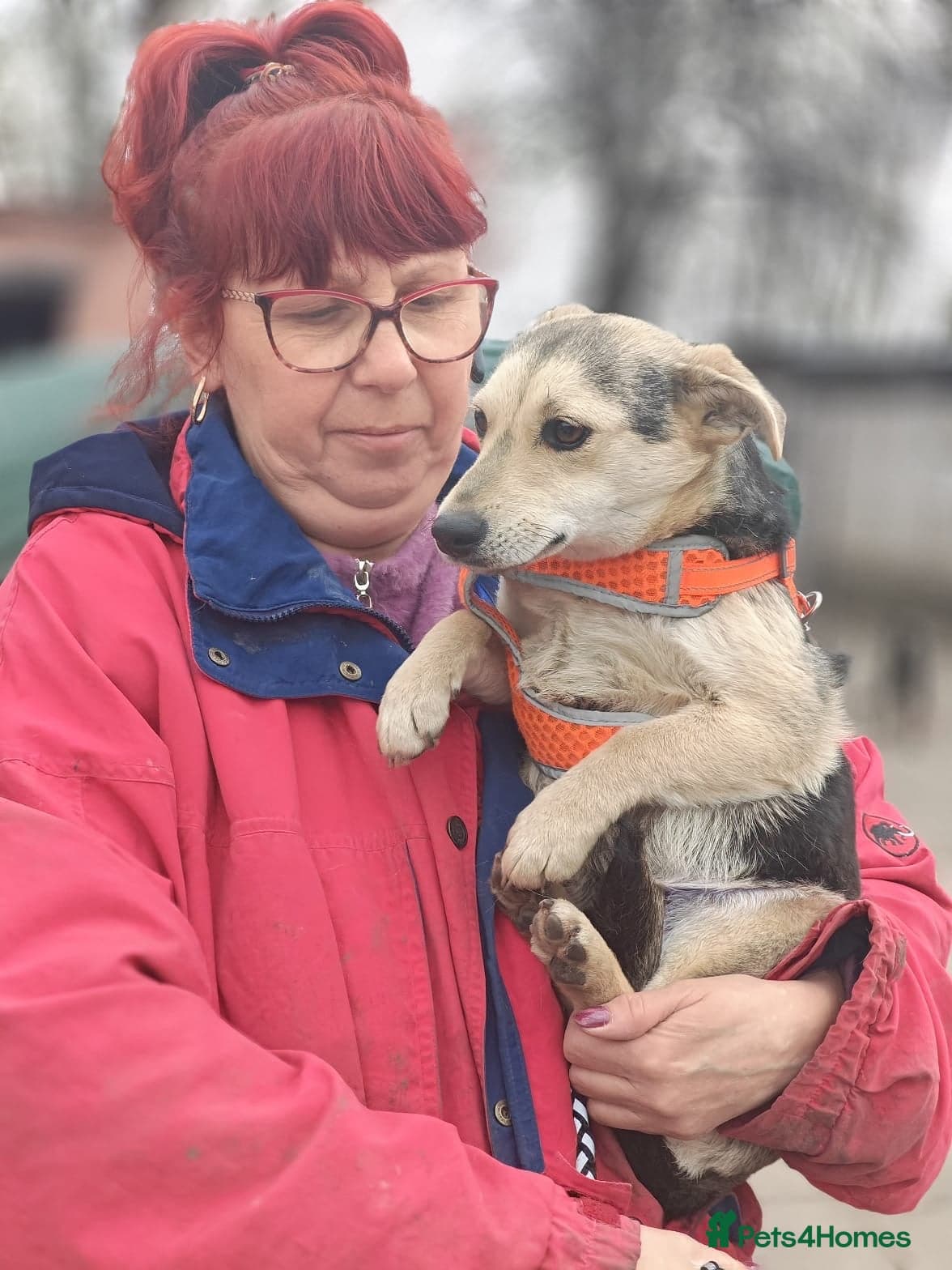 οΈπΆ maree photo 8