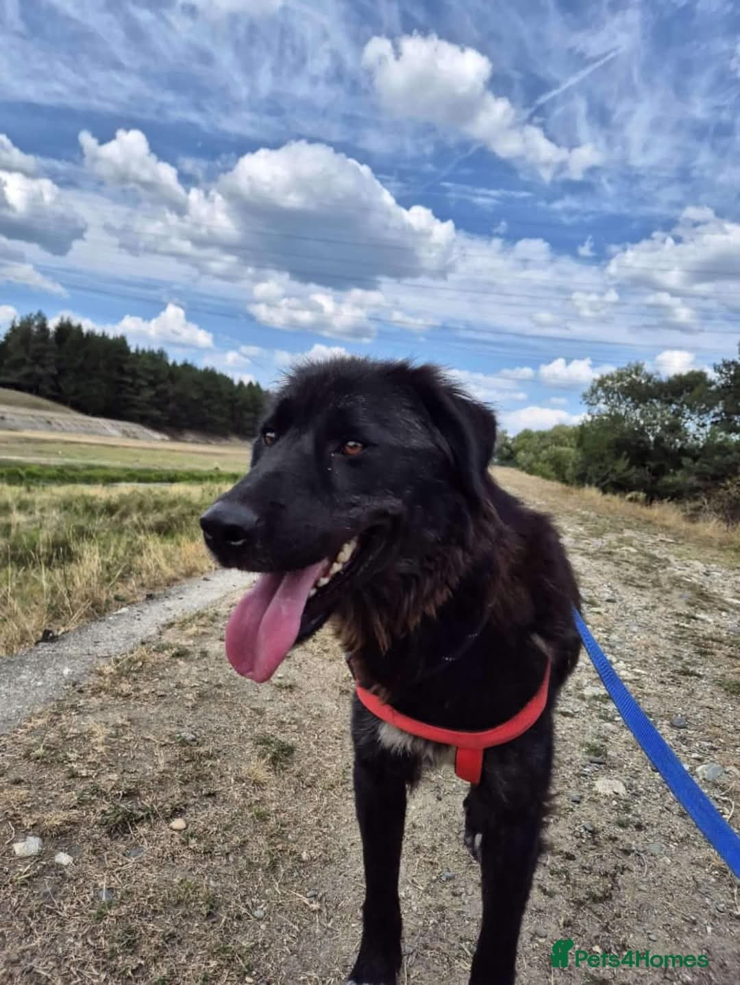 Meet Bryony, currently residing in Kent photo 7