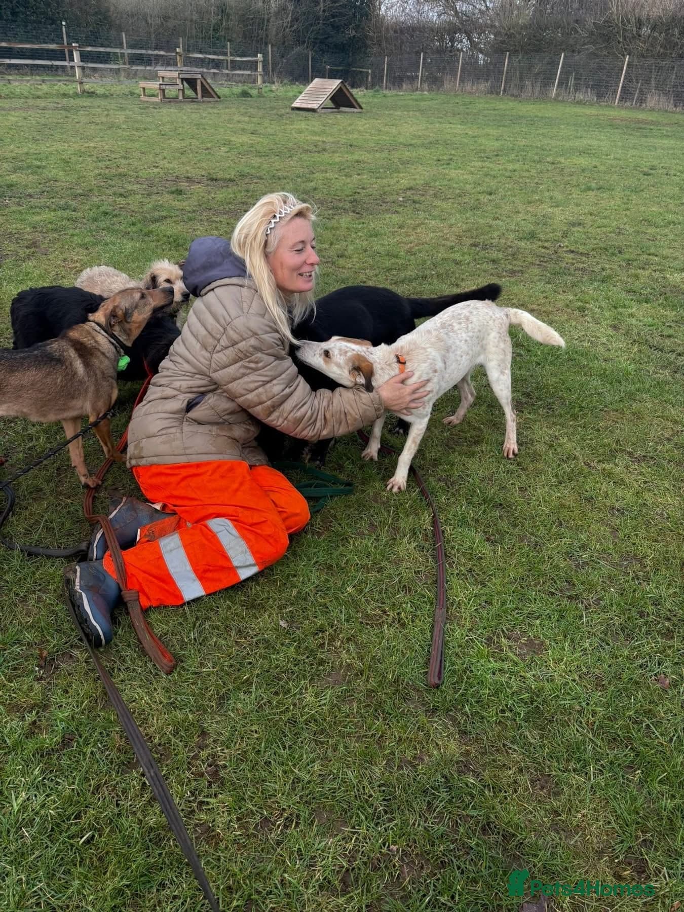 Trinity - Norwich Norfolk photo 11