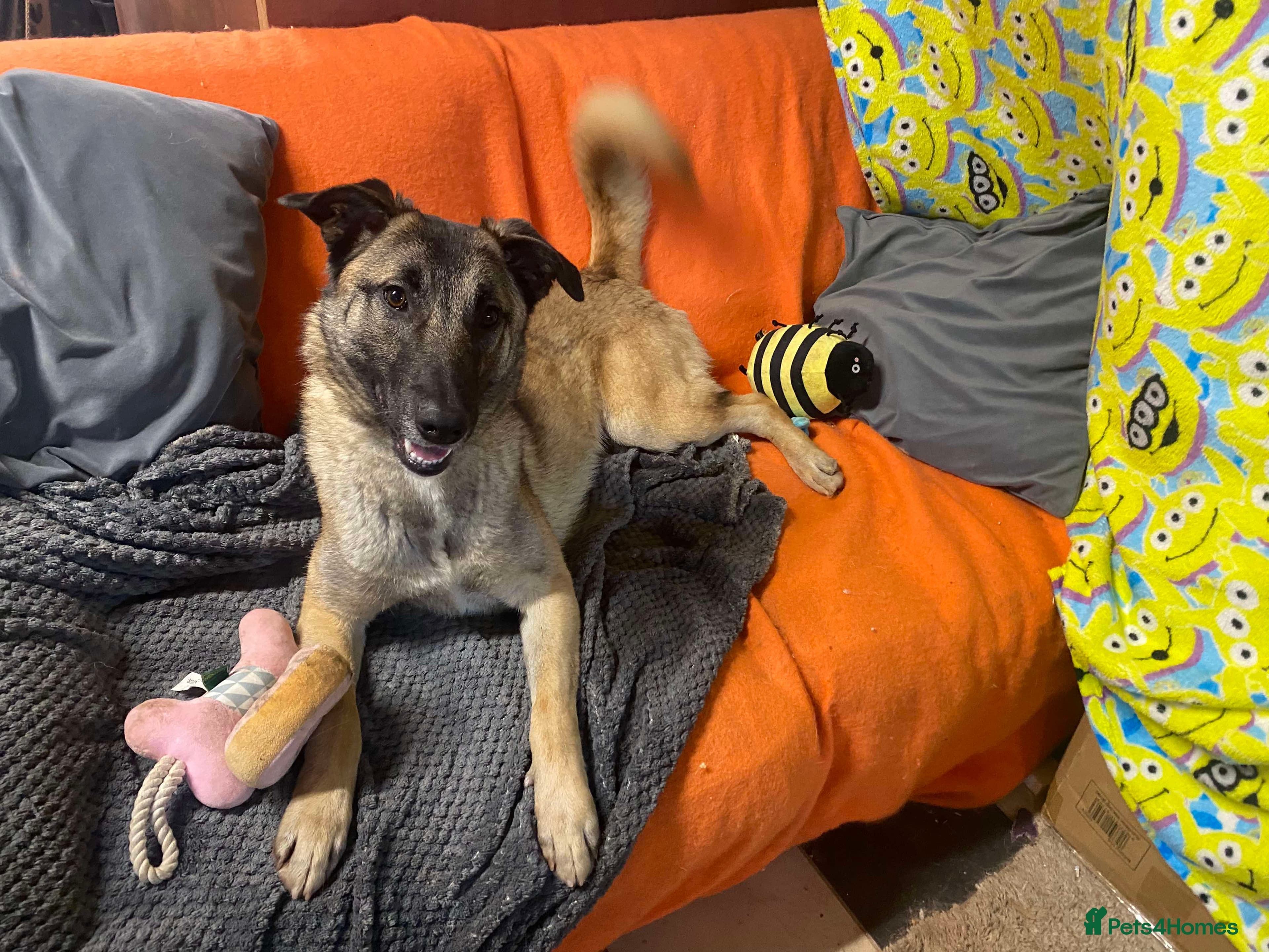 Meet Vera, currently residing in Cheshire photo 10