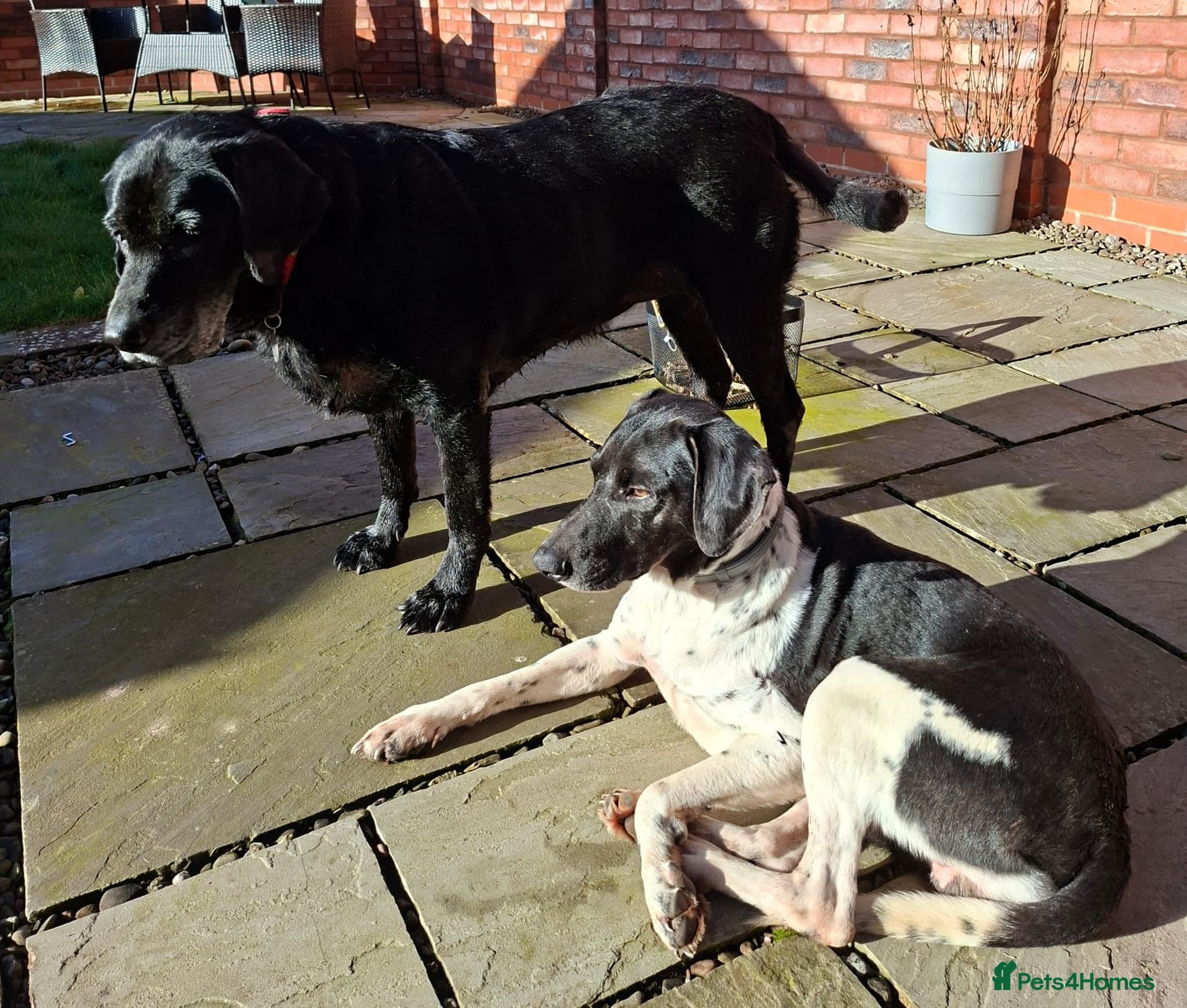 Stratos ! ❤️ a Cypriot sweetheart photo 11