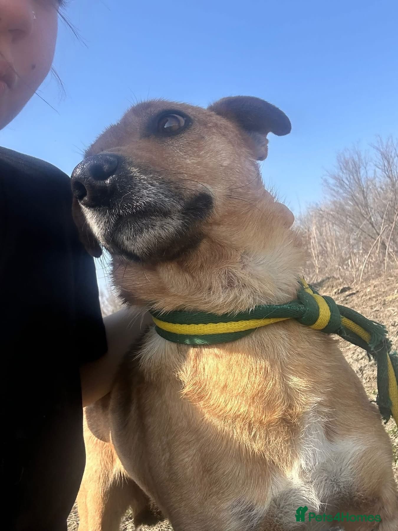 Terry - Norwich Norfolk photo 8