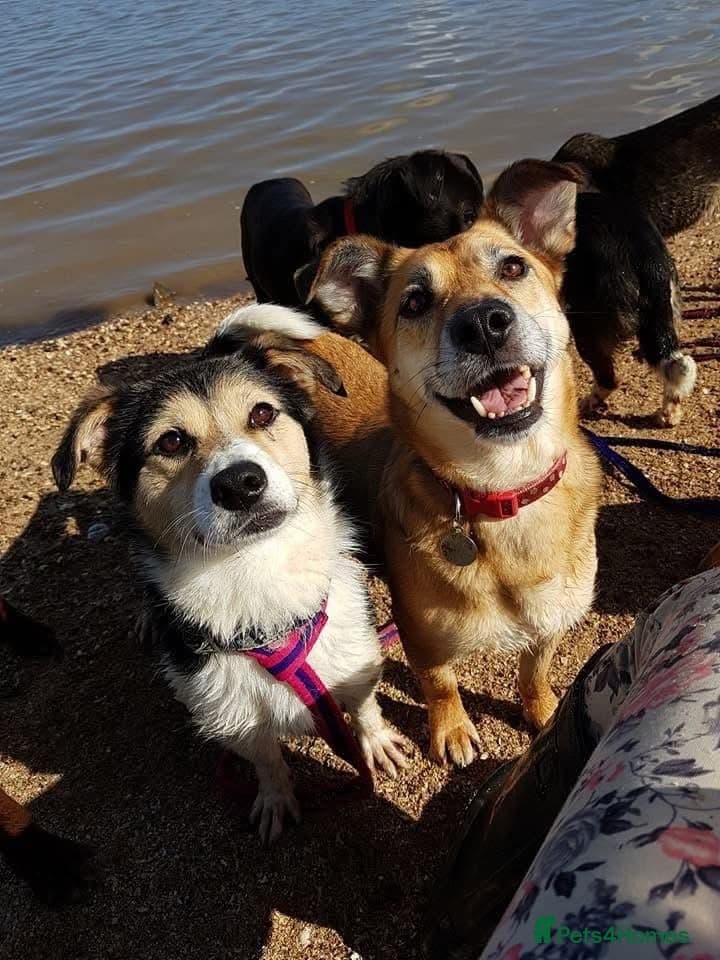 Tara - Norwich Norfolk photo 20