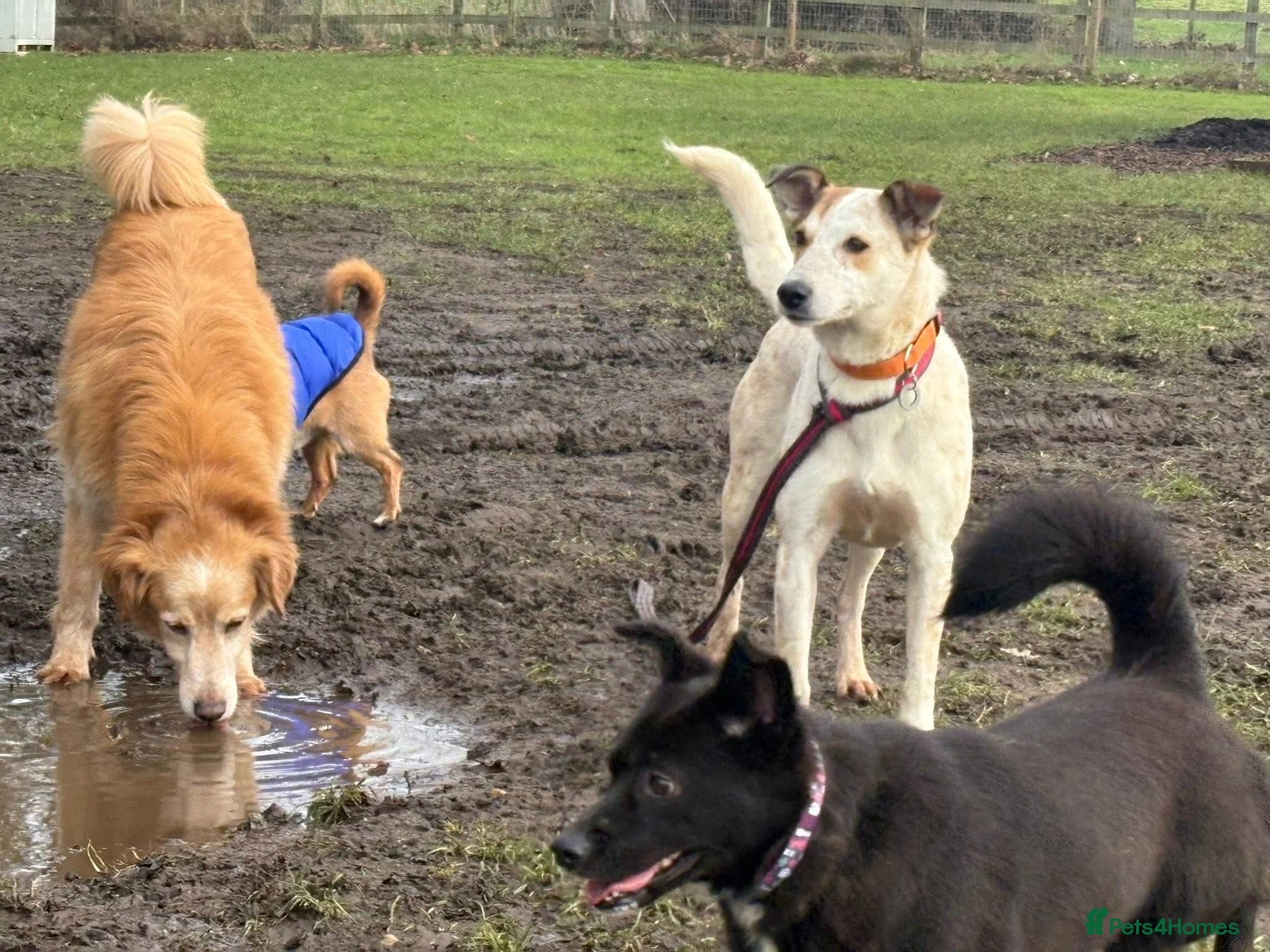 Trinity - Norwich Norfolk photo 17