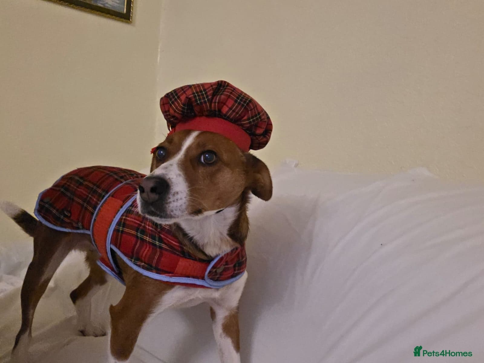 Affectionate Milli photo 8