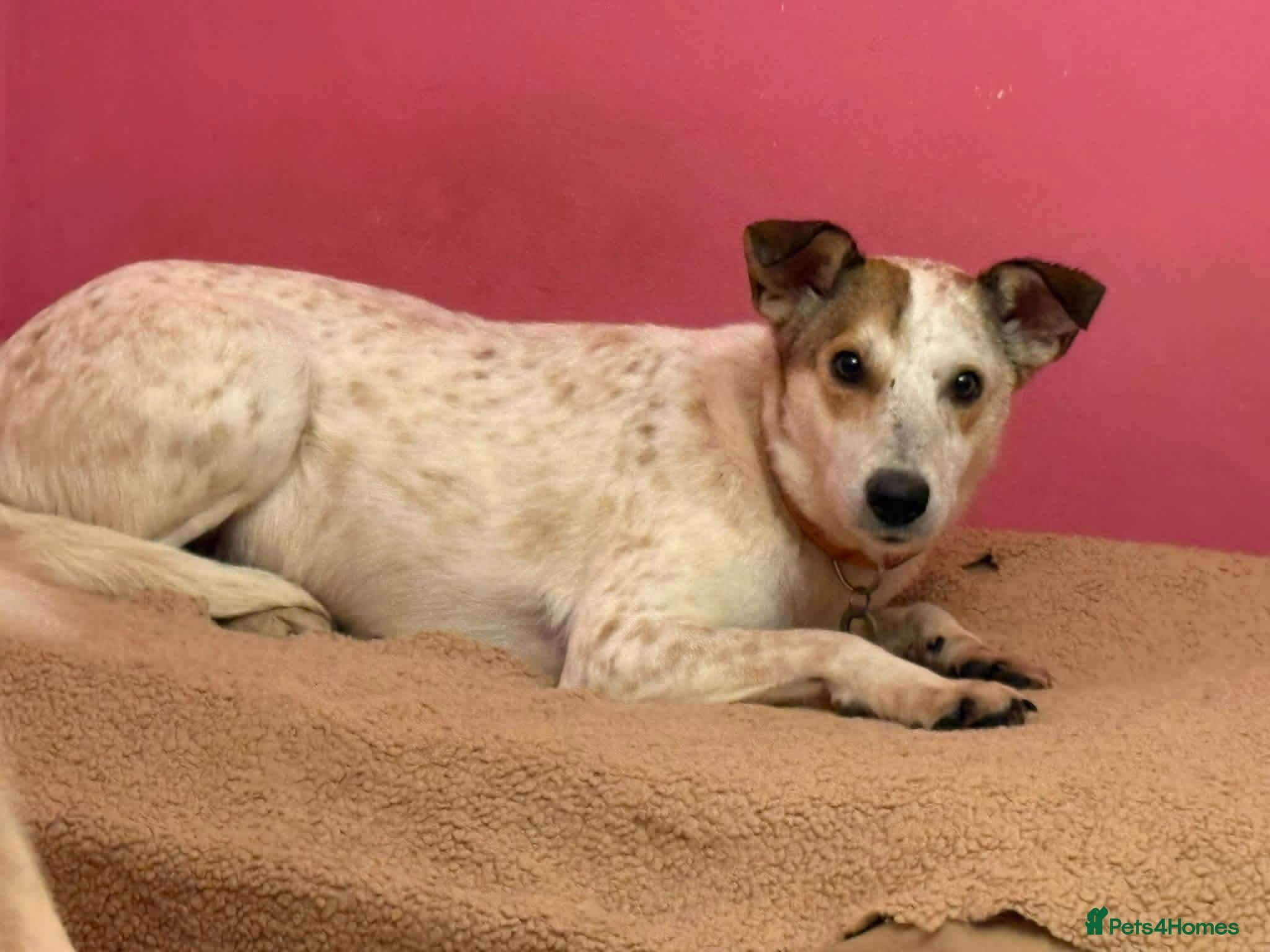 Trinity - Norwich Norfolk photo 5