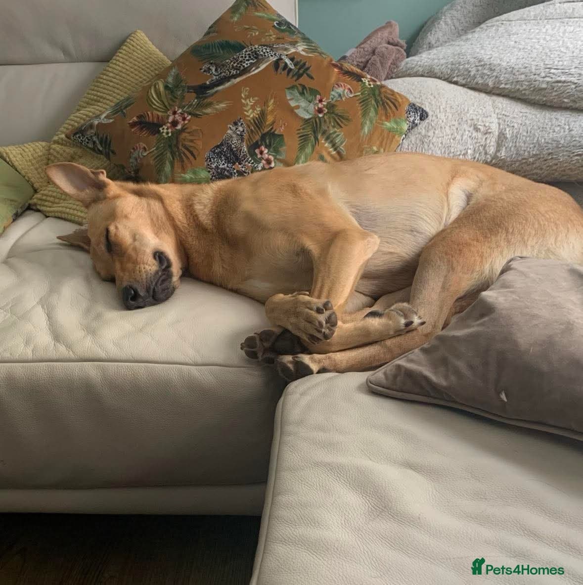 Ella stunning lady photo 7