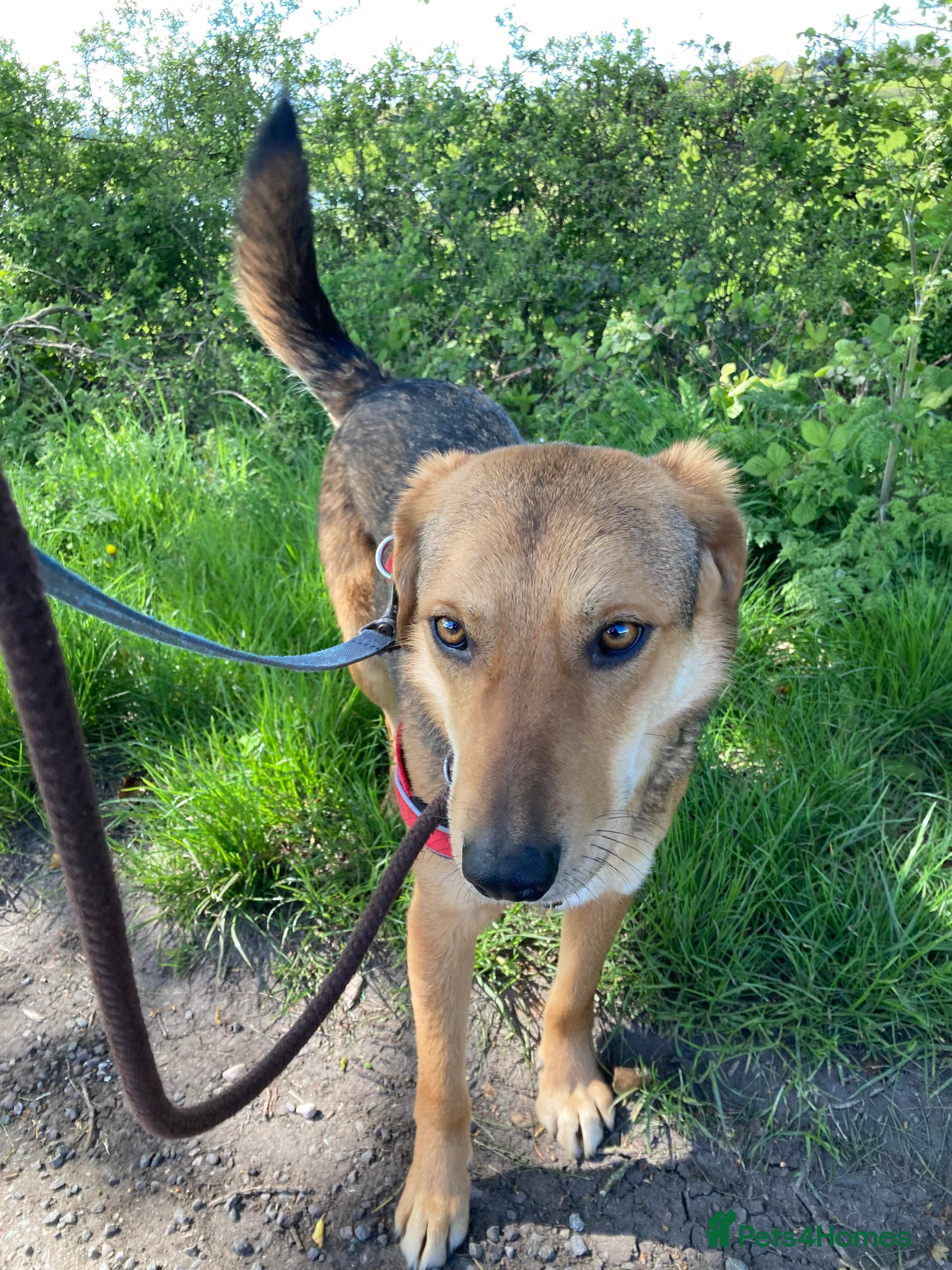 Meet Shiloh, currently residing in Cheshire photo 11