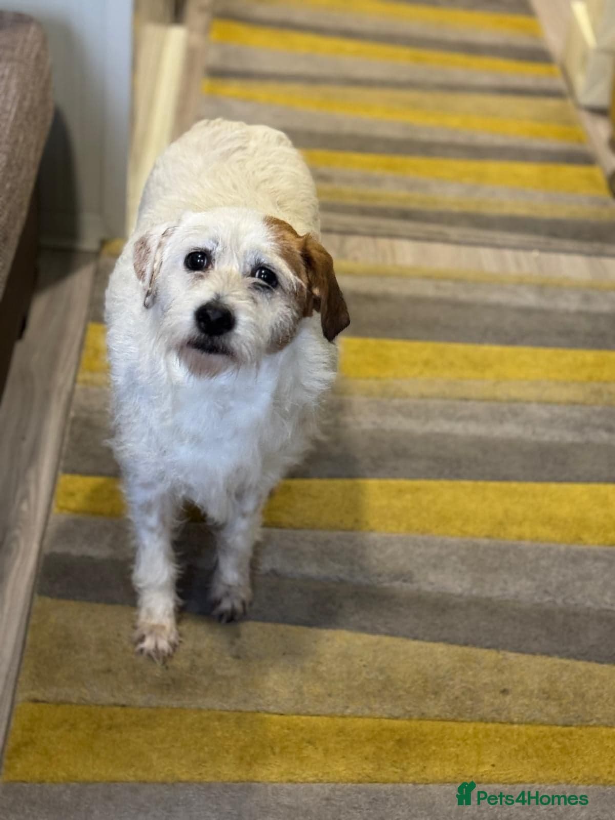 Cute girl Pepsi photo 4