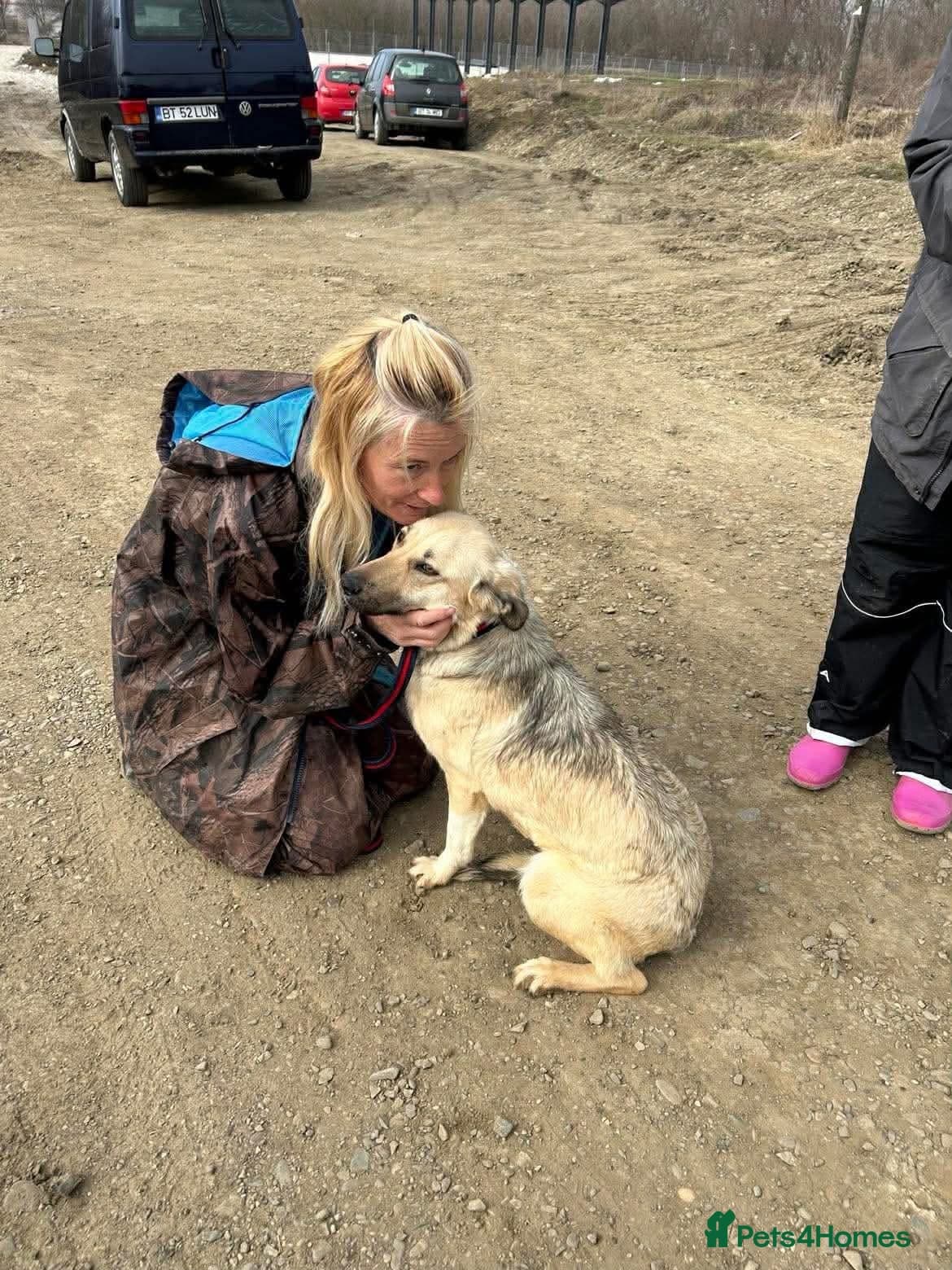 Octavia - Norwich Norfolk photo 6