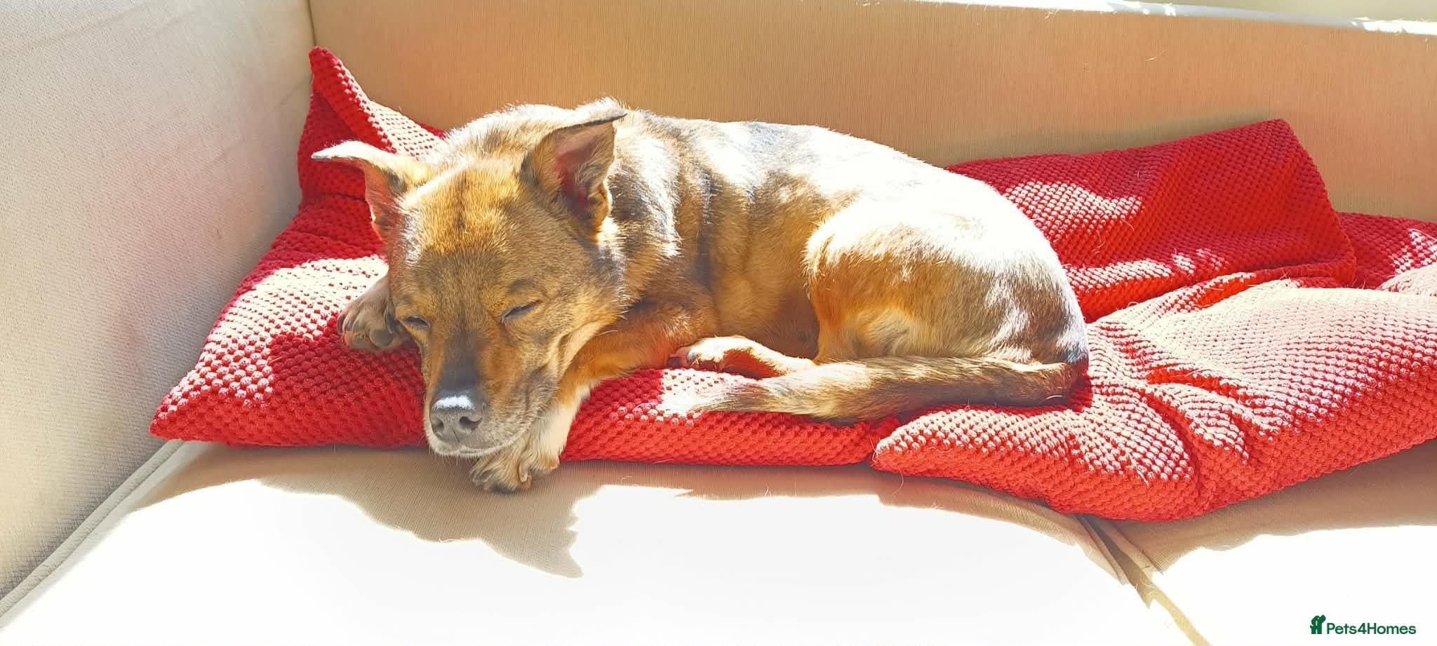 Erica - Norwich Norfolk photo 3